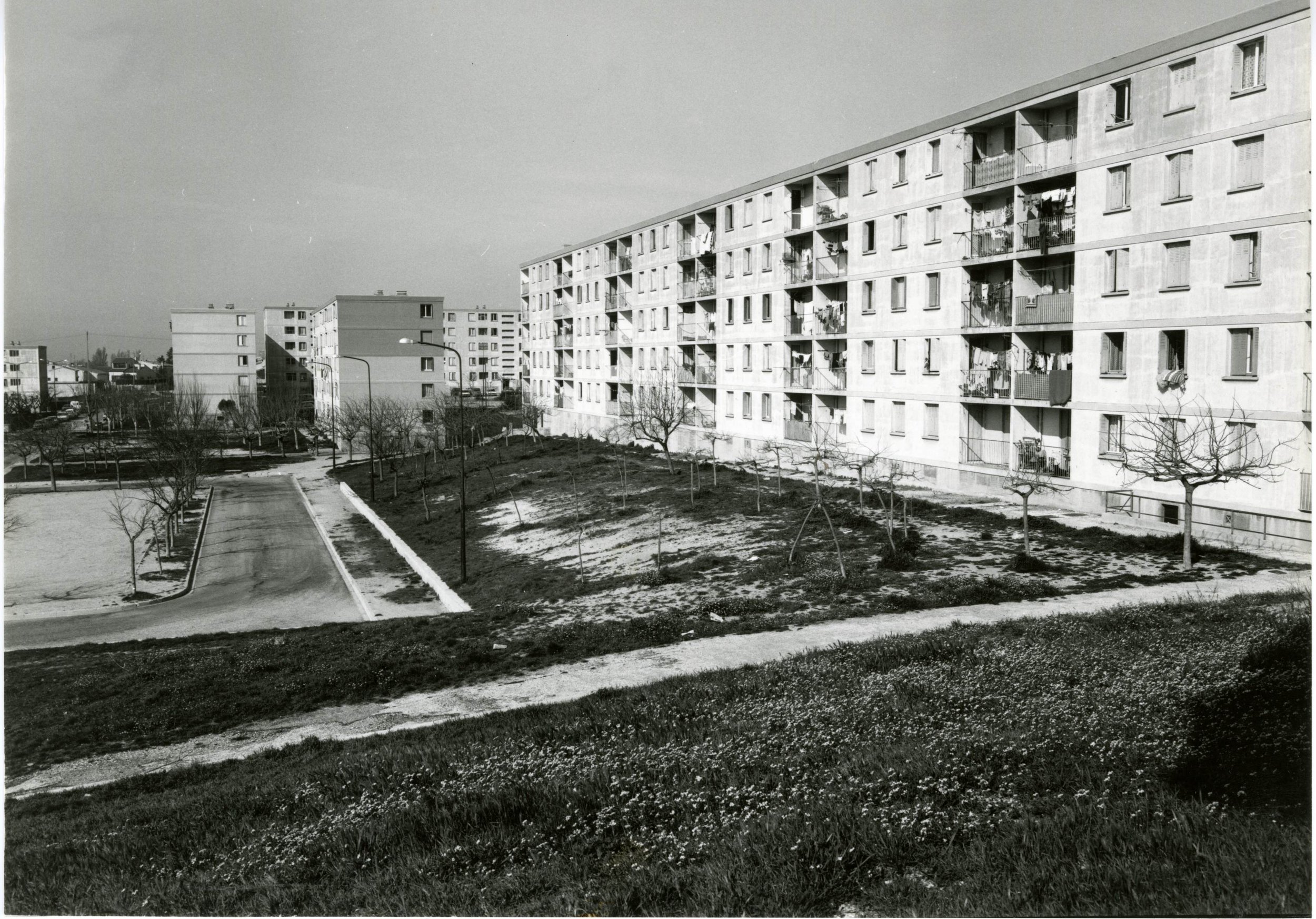 3Fi130-1 - Mas de Pouane.jpg