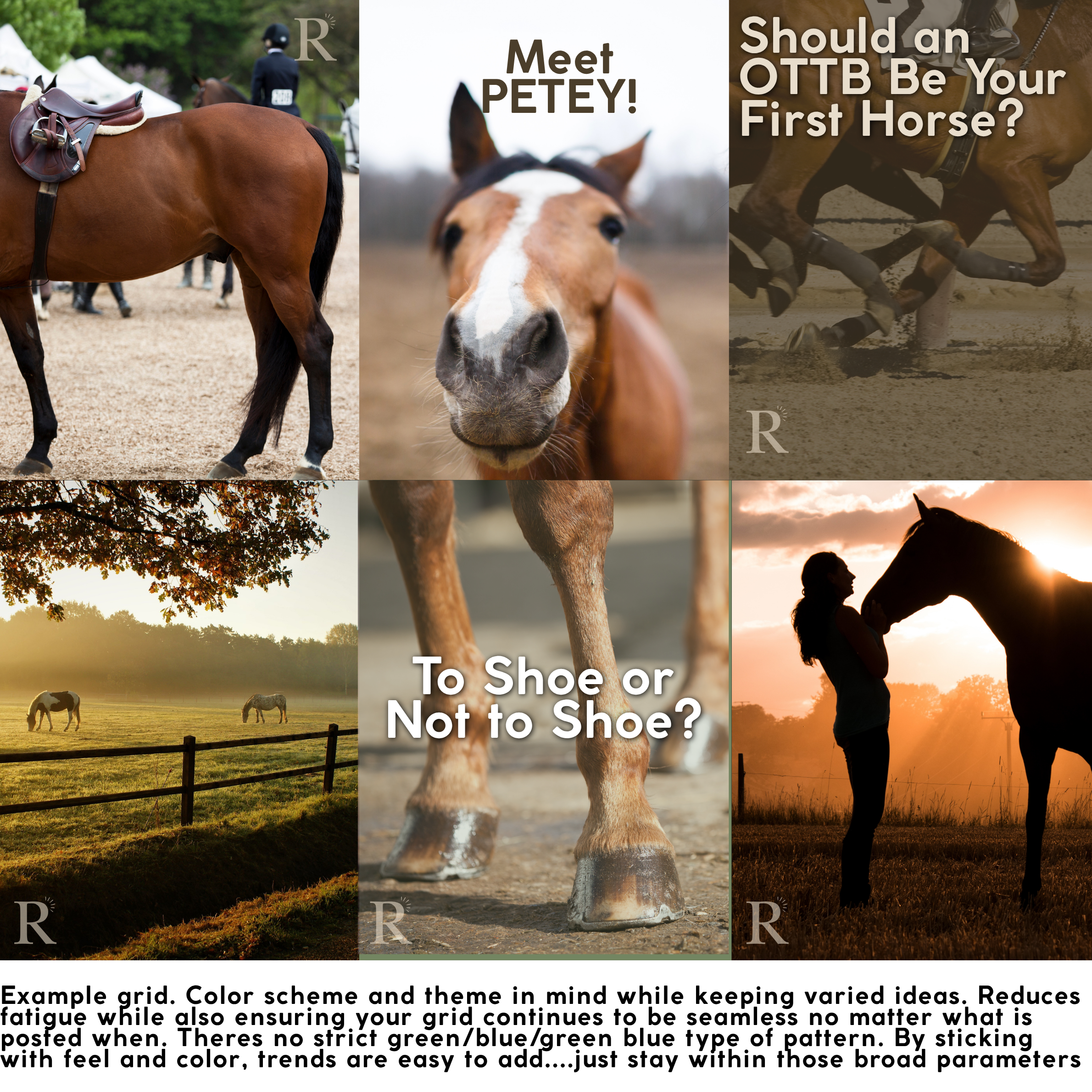 Mock social media grid with short explanation of layout