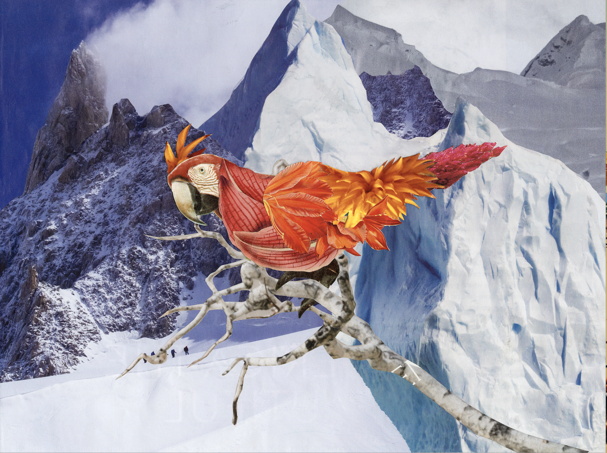 Snowbird, 2025, 9 x 12 