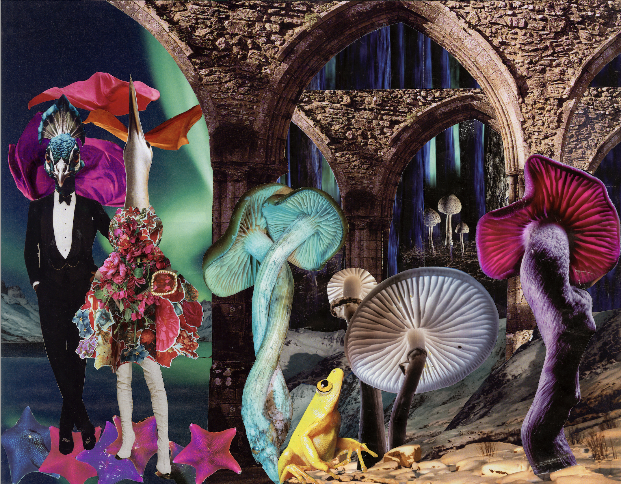 A Curious Gathering, 2026, 11 x 14 