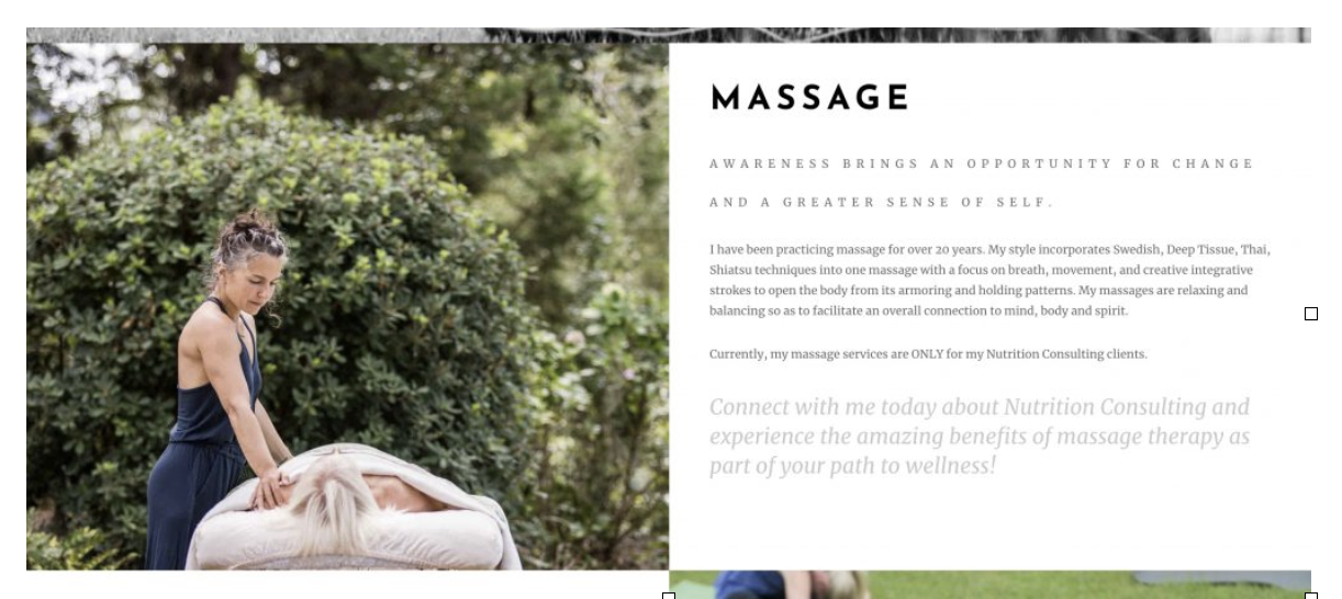 Branded images illustrating Services provided