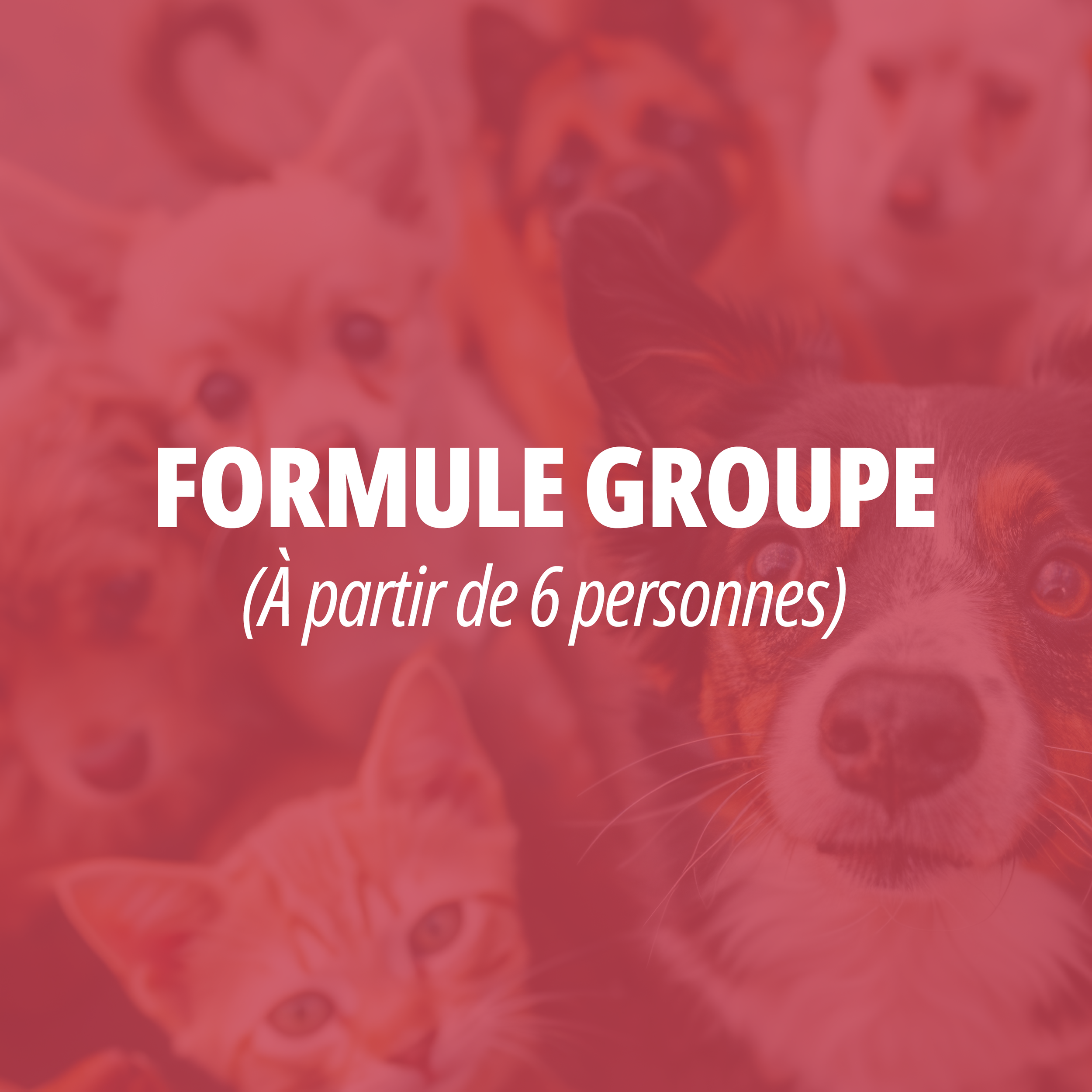 Formule Groupe (de 6 à 10 personnes)