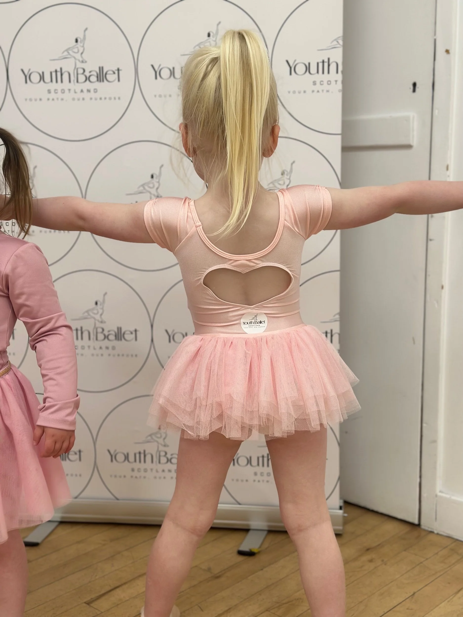 Little Swans & Sugar Plums Tutu