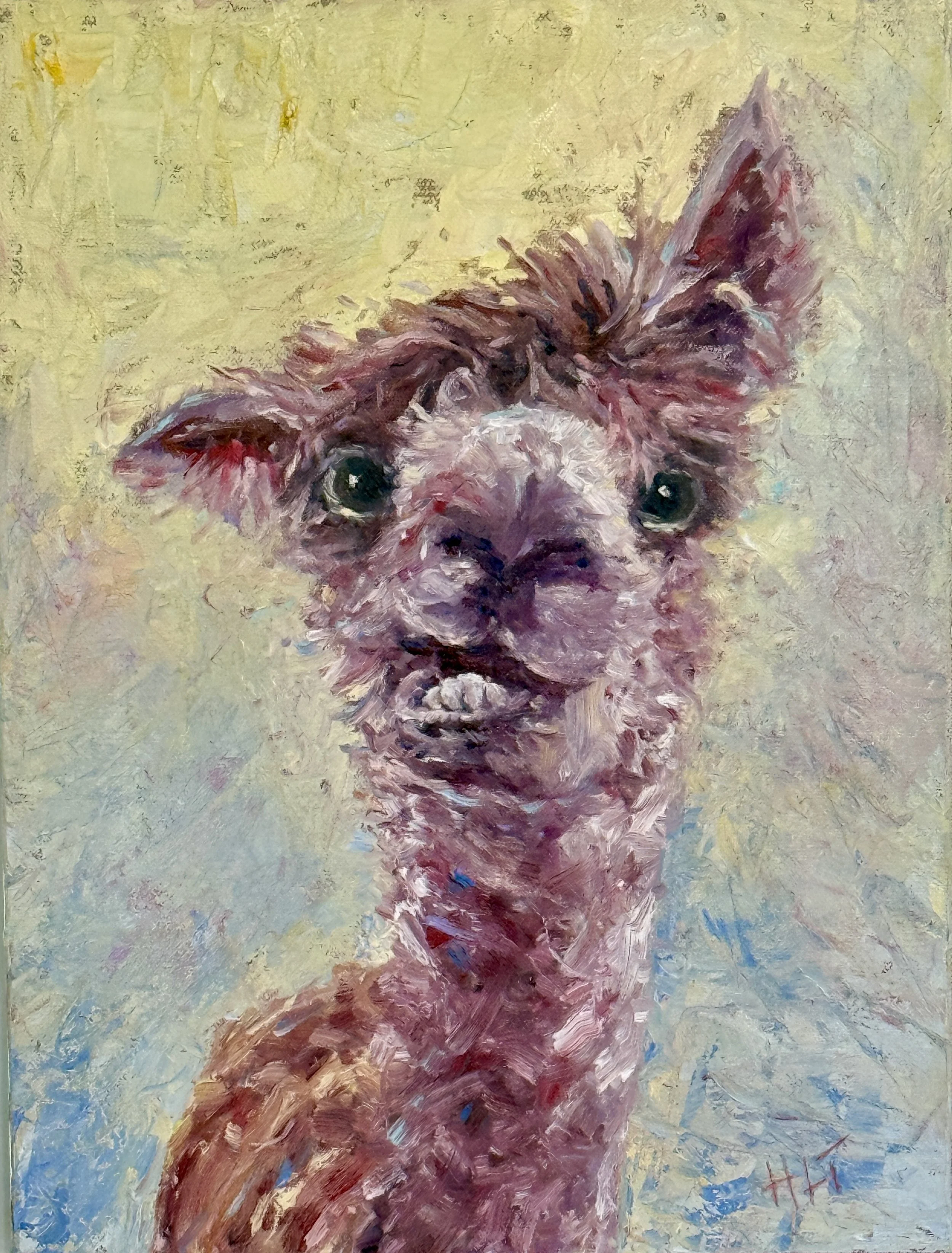 Animal/Pet