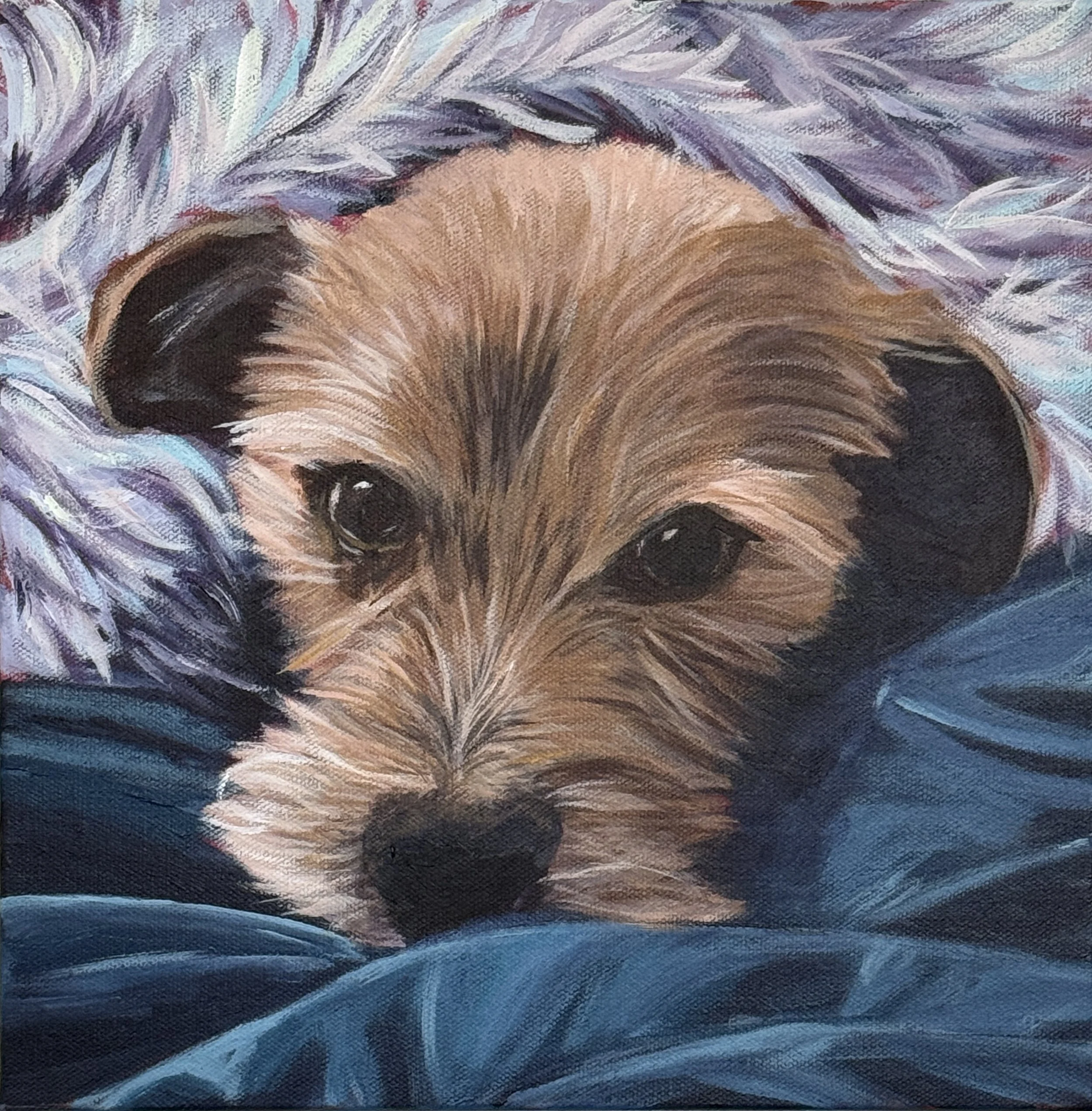 Benji - Acrylic on Canvas 12” x 12”
