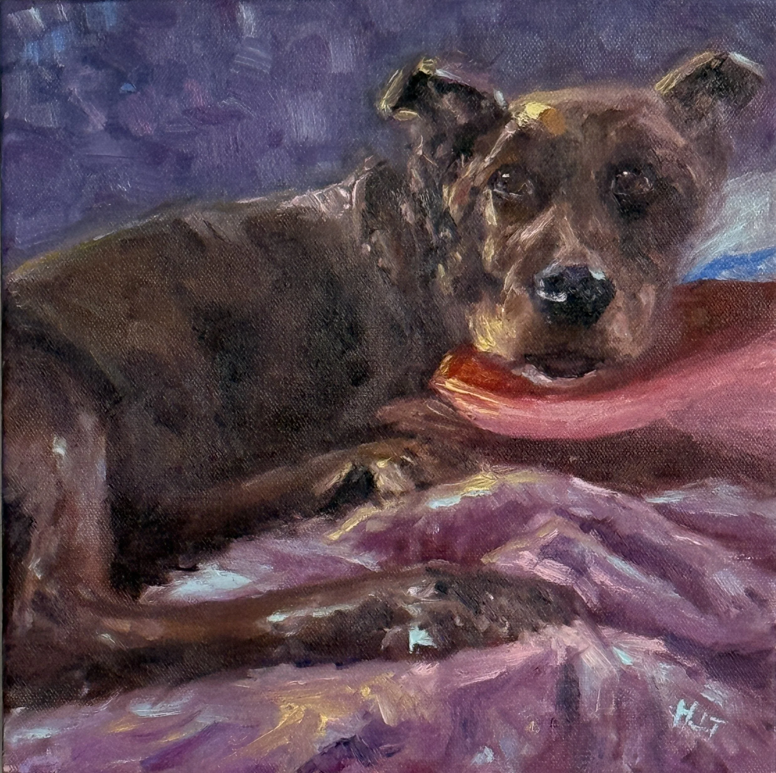 Black dog lying on blanket oil painting