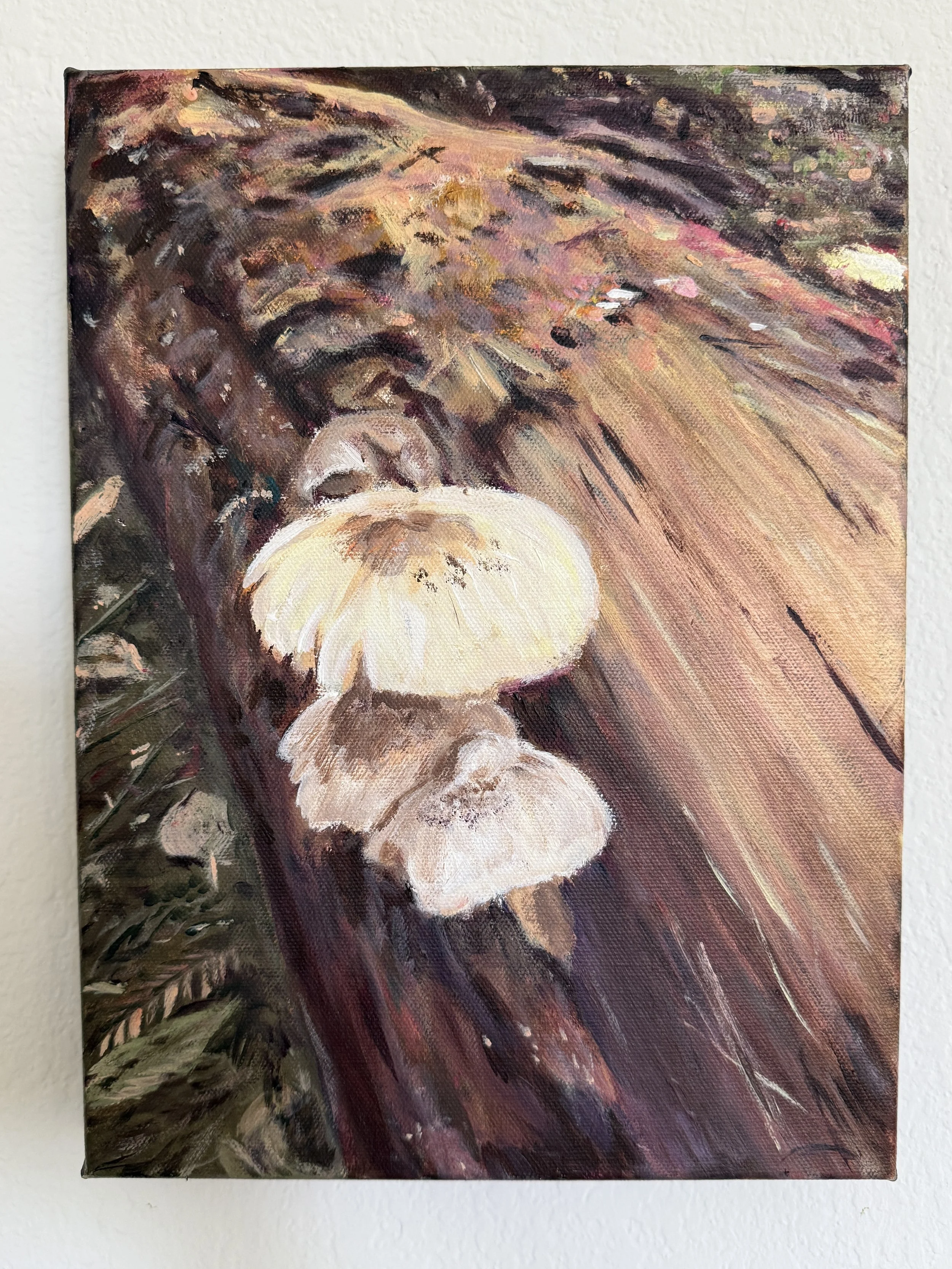 Down to the Earth (Big Basin Redwoods State Park) - 9”x12” Acylic on Canvas