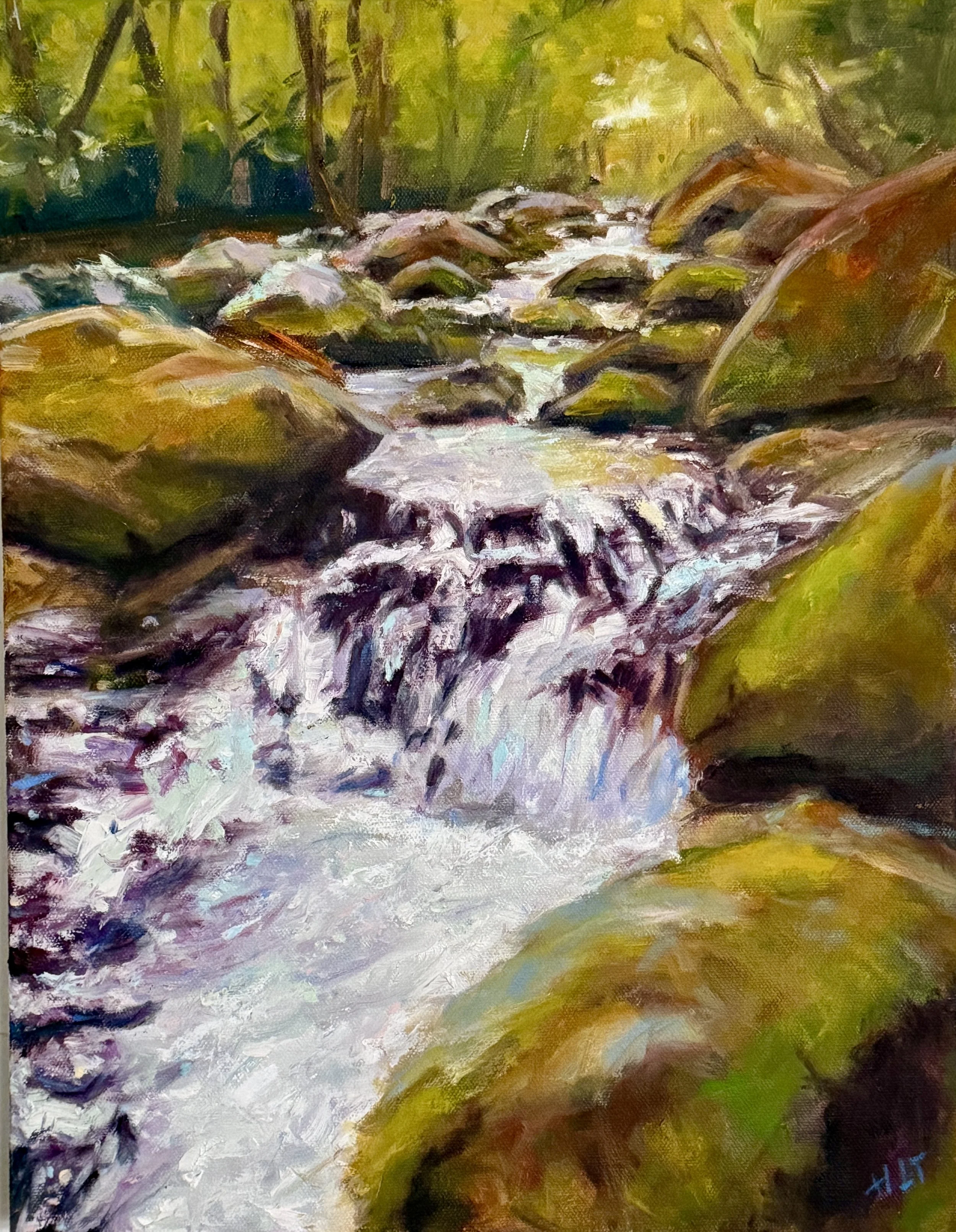The Little Cascade - Oil on Canvas 14”x18”