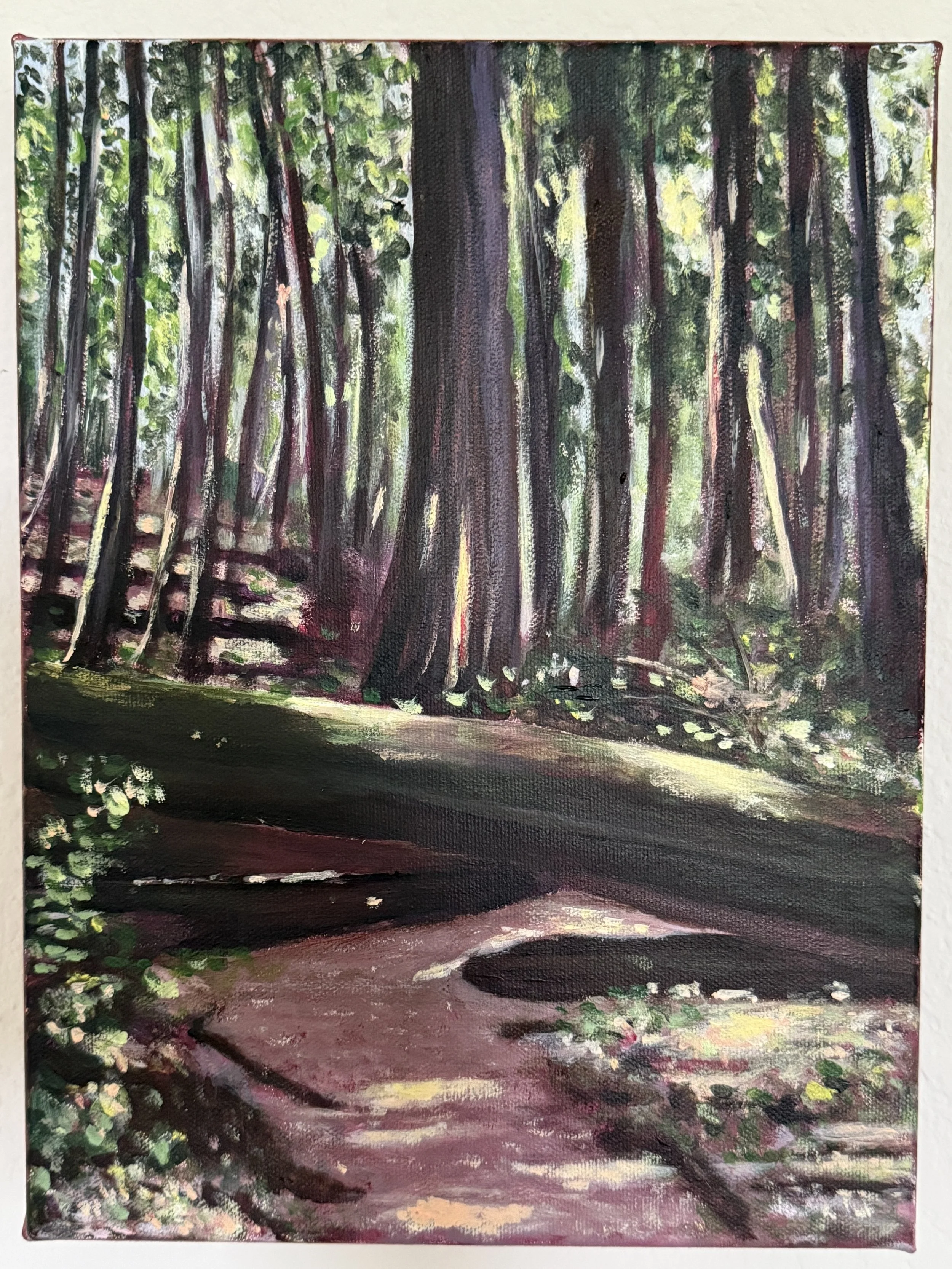 Path to the Unknown (Big Basin Redwoods State Park) - 9”x12” Acylic on Canvas