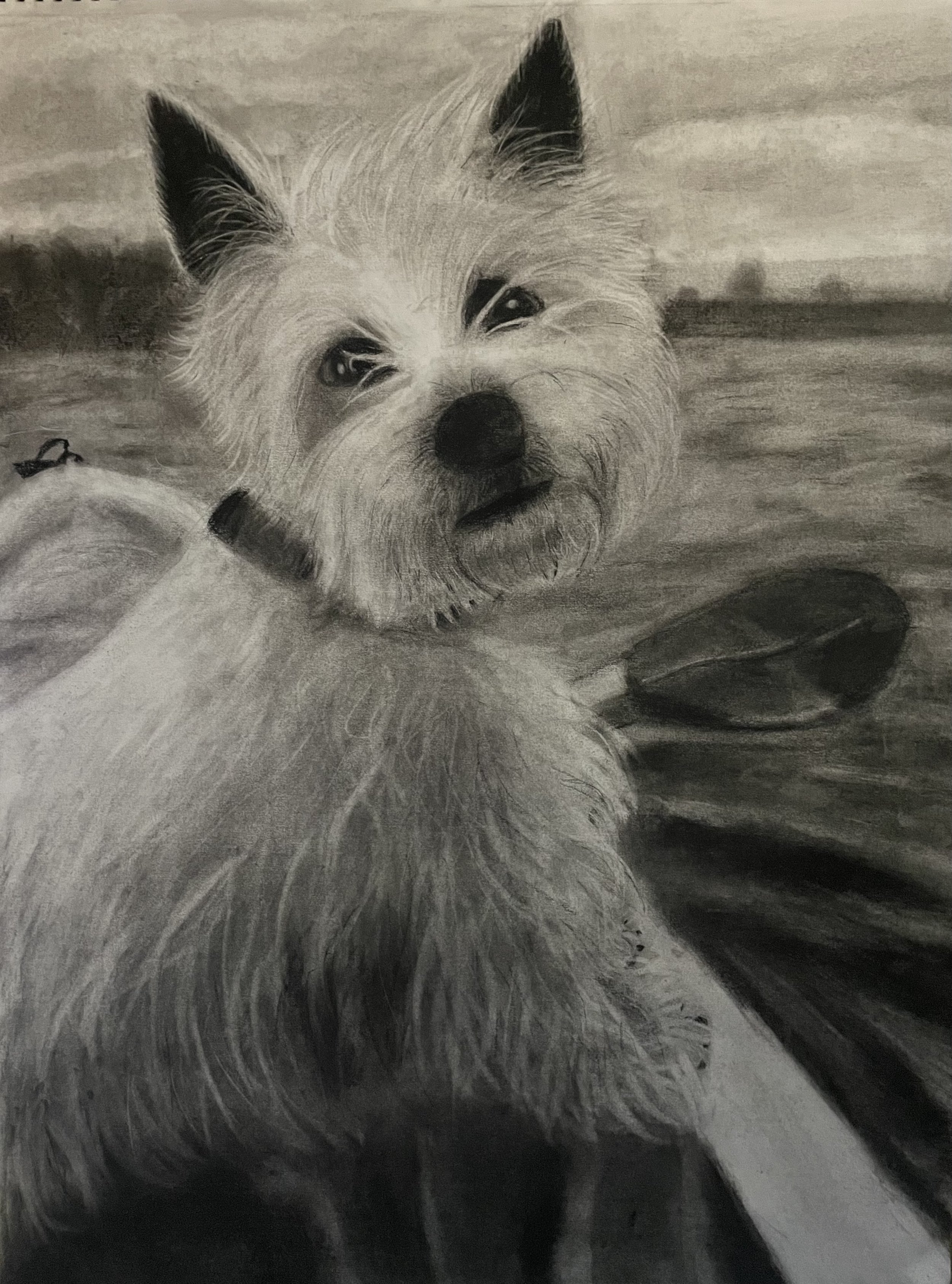 Kayak on Lady Bird Lake - Charcoal 18x24 inch