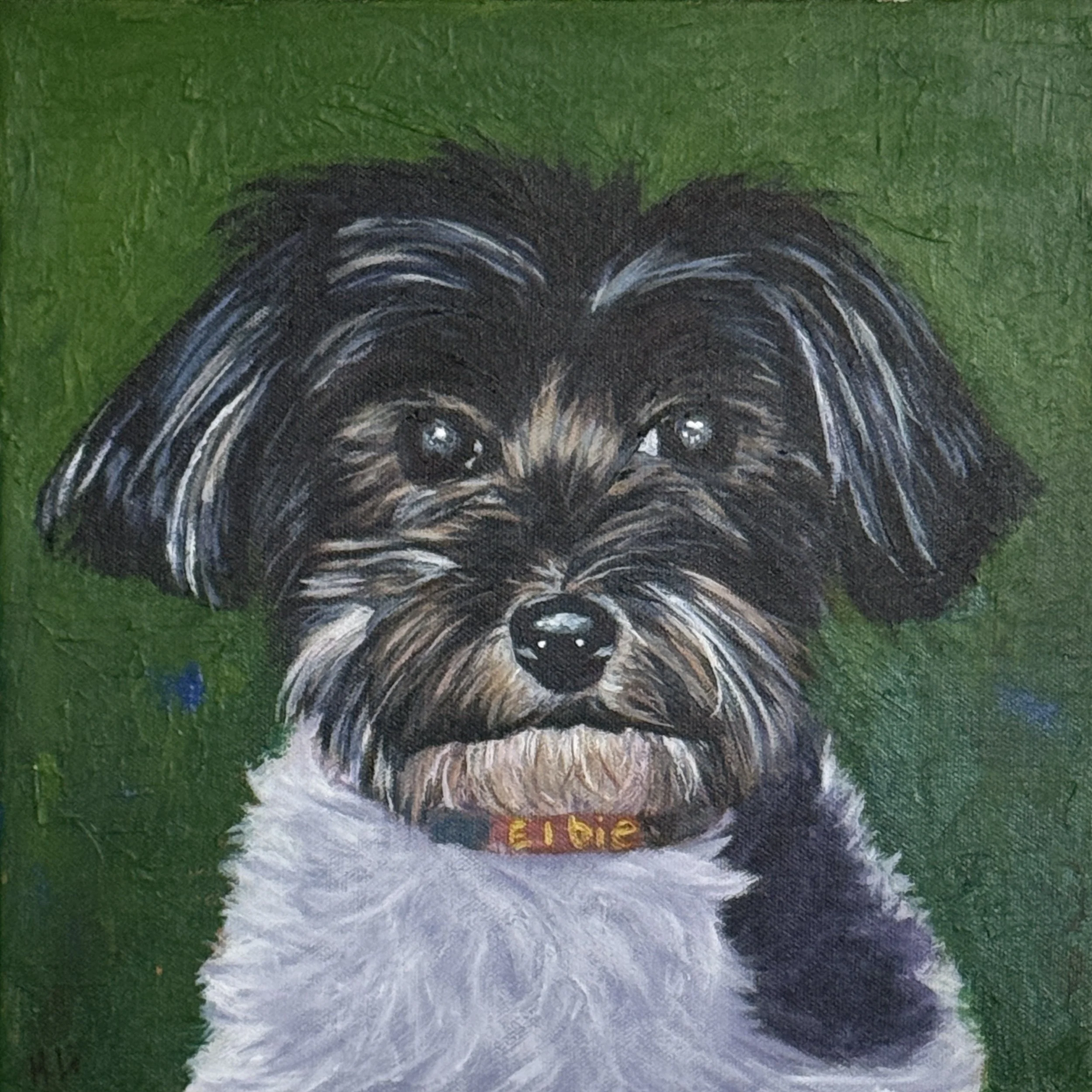 Painting of a black and white dog with brown eyes, wearing a red collar with yellow lettering, against a green background.