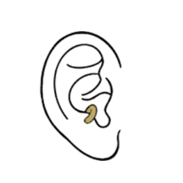 ANTI TRAGUS