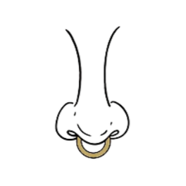 SEPTUM