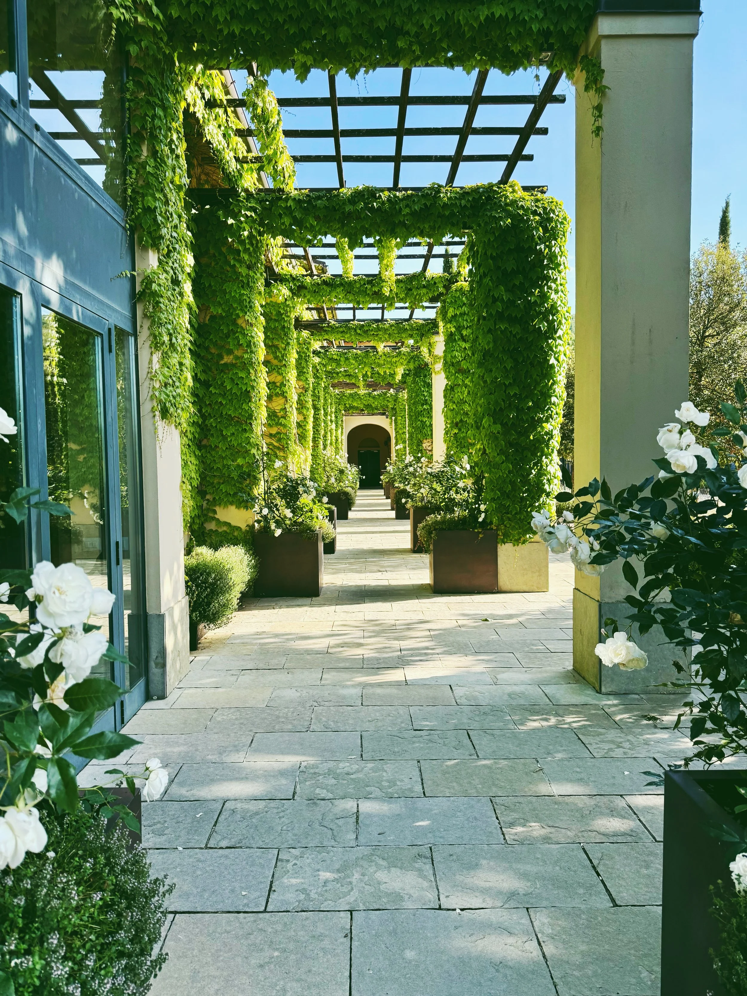 FullSizeRender_VSCO 3.JPG