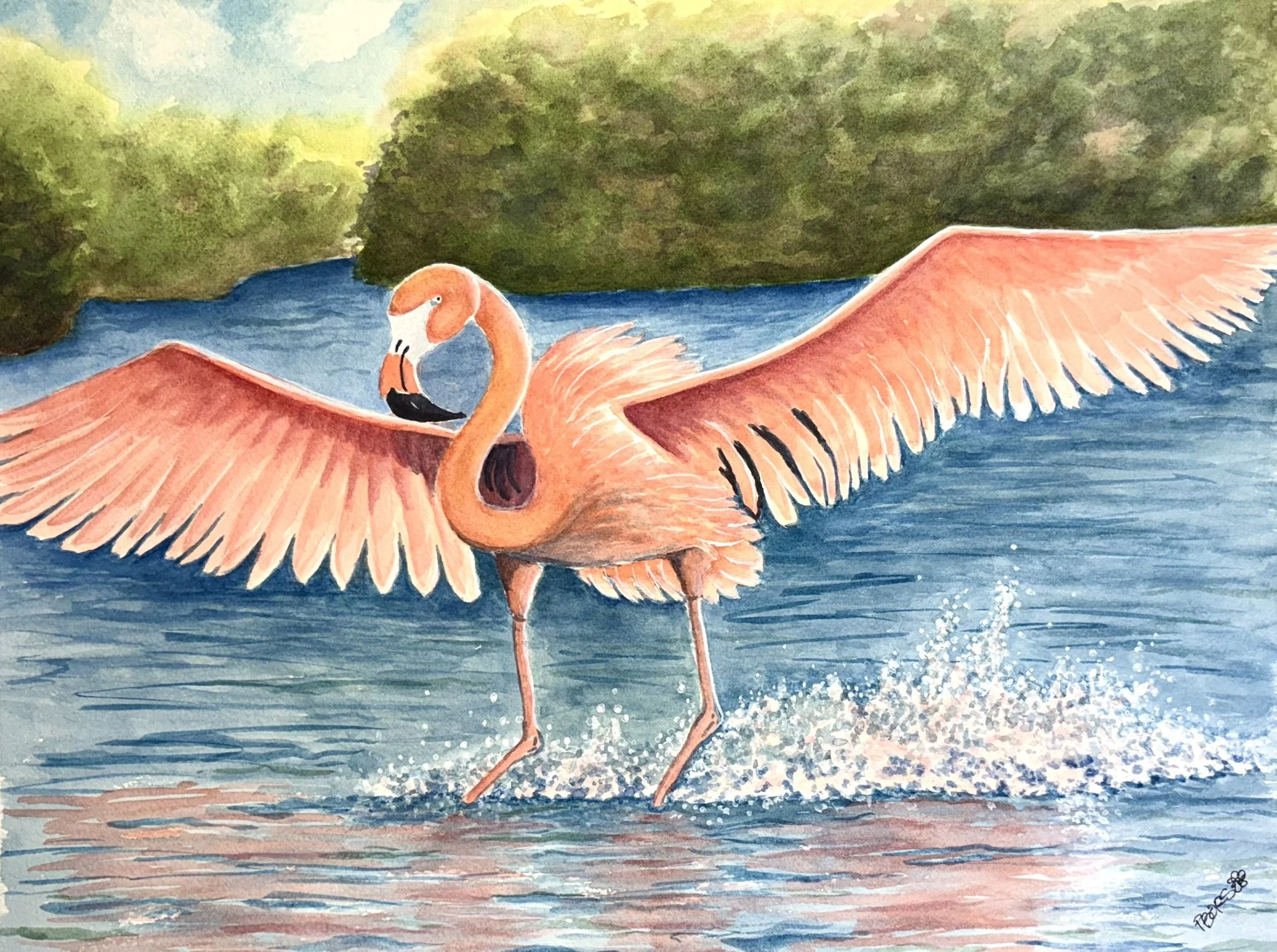 Flamingo Landing - 11 x 14 watercolor; $150 Unframed; $200 Framed