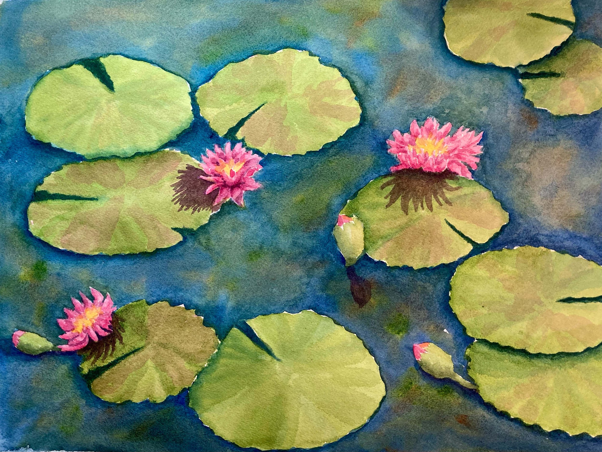 Waterlillies1 - $200 unframed; $275 framed; Watercolor 11 x 14