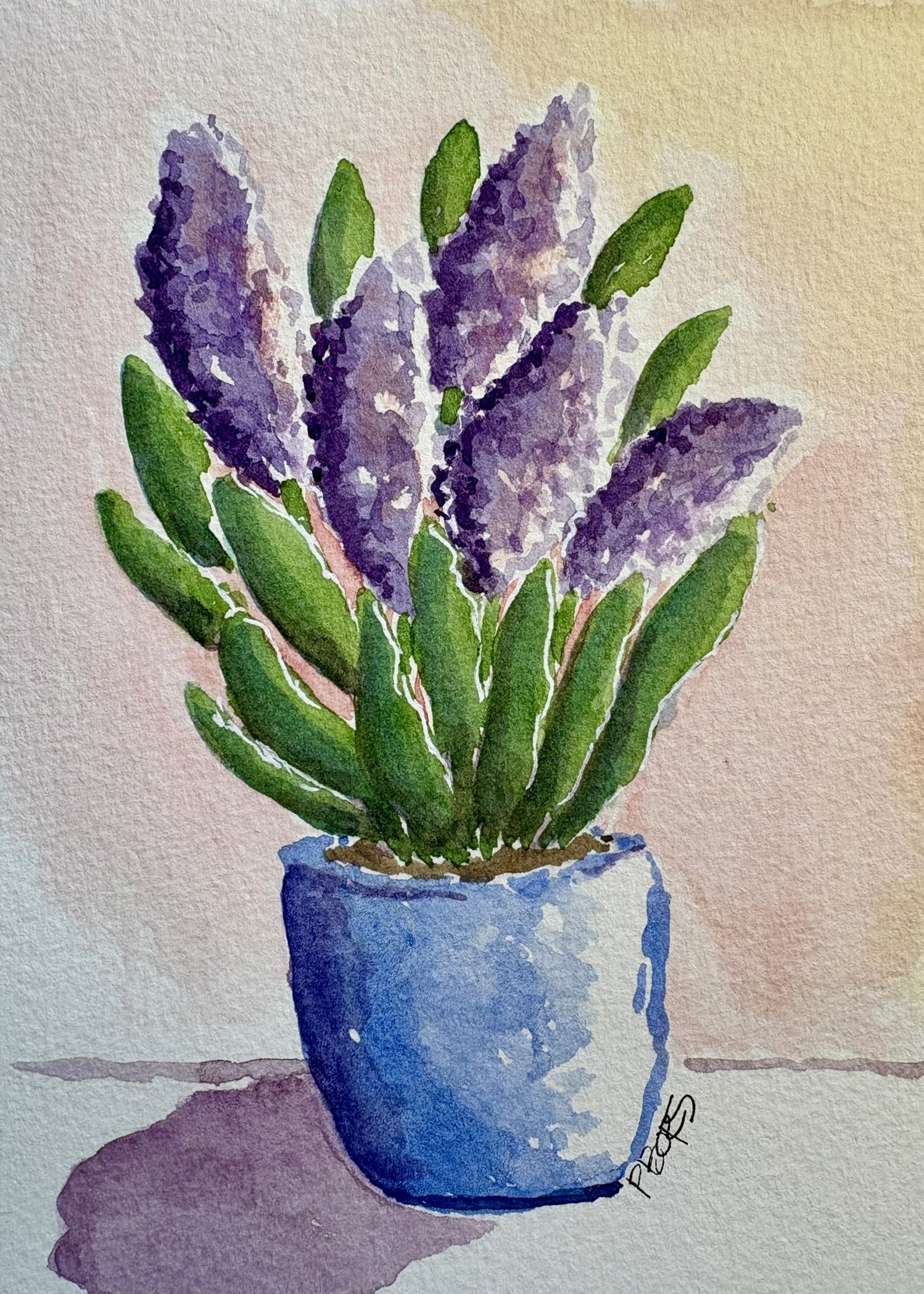 Pot of Hyacinths - $35 unframed; 5 x 7 watercolor; Available as greeting card upon request $5 each.