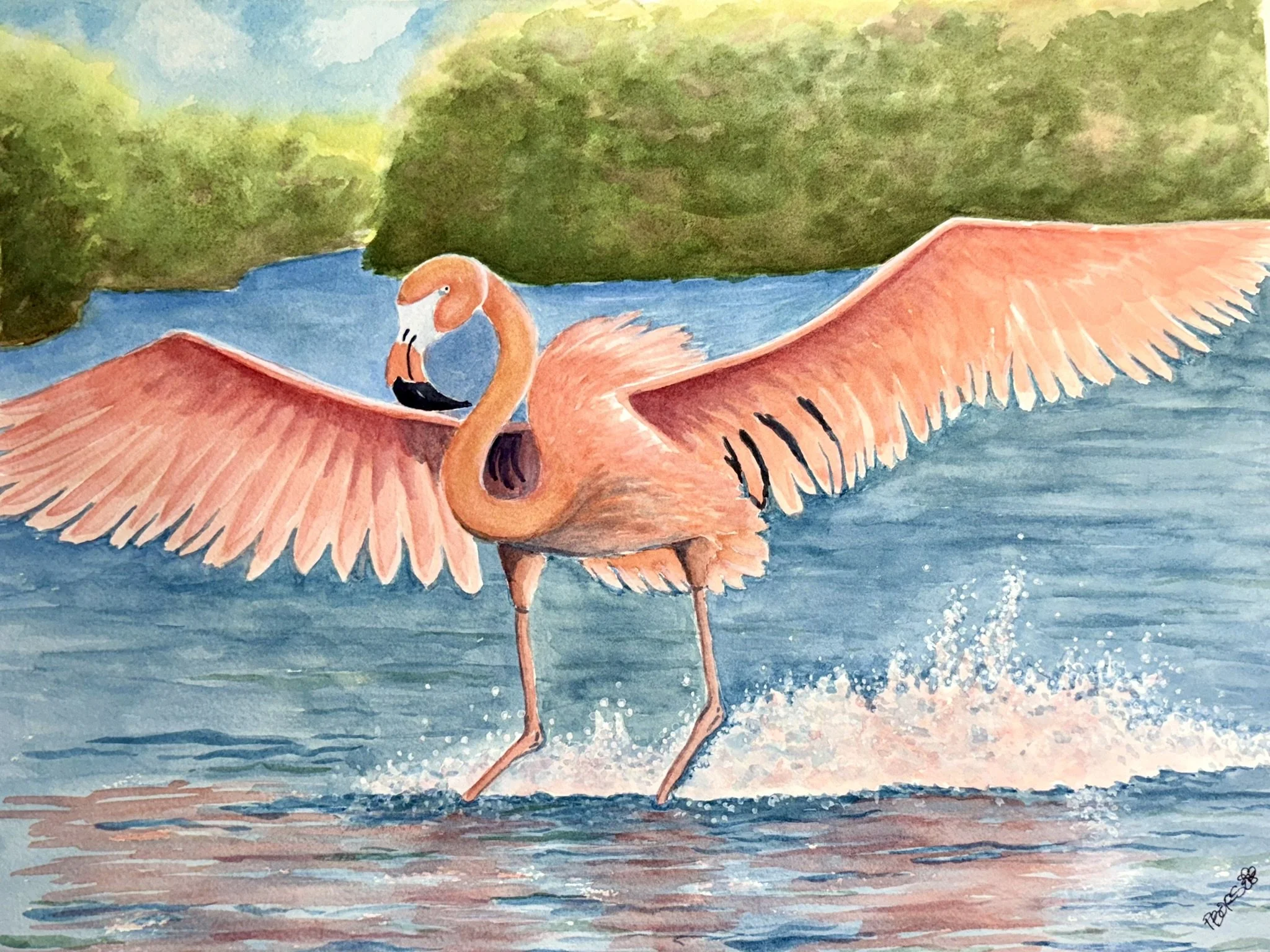 Flamingo Landing - 11 x 15 watercolor; $150 framed; $225 framed