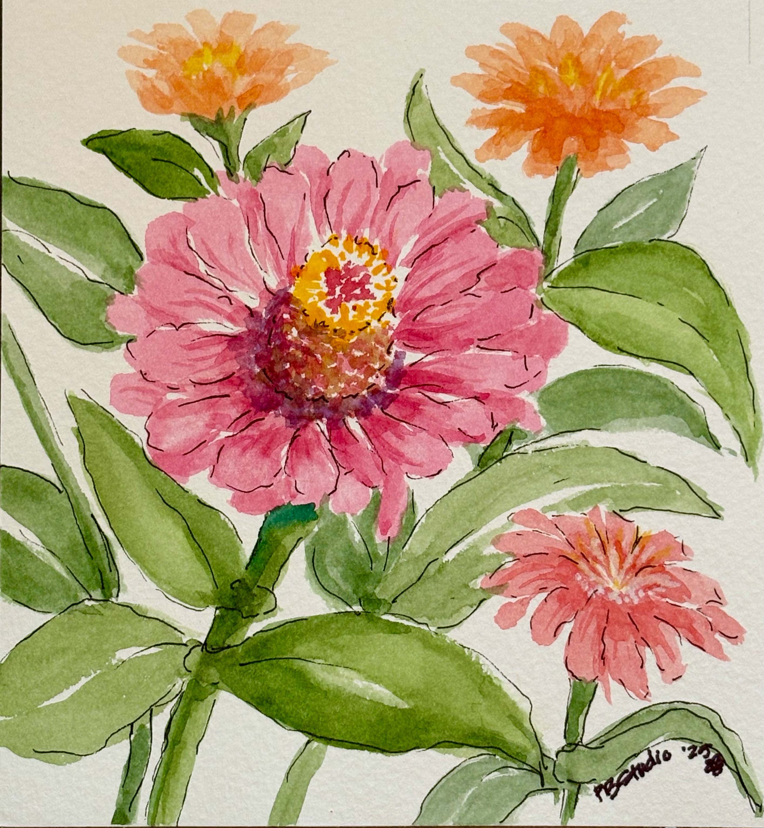 Zinnias - $50 unframed; watercolor & ink 5 x 4 ¾