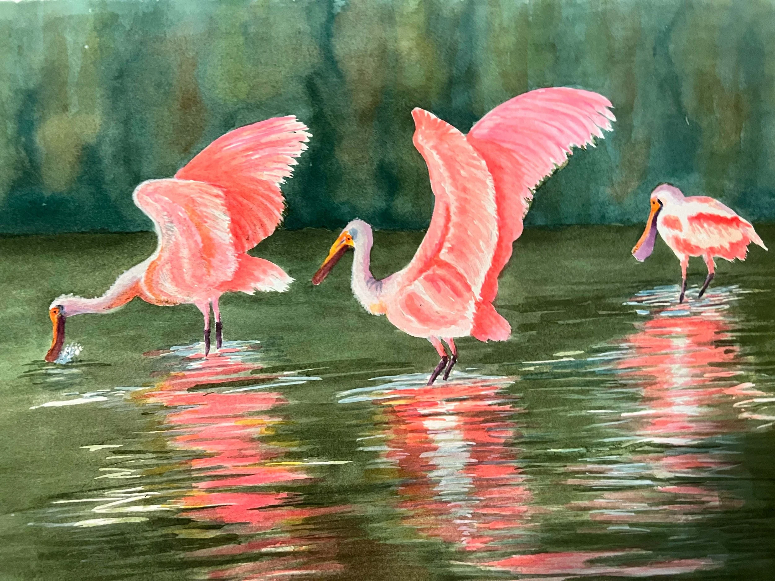 Three Spoonbills - $200 unframed; $275 framed; Watercolor 11 x 14
