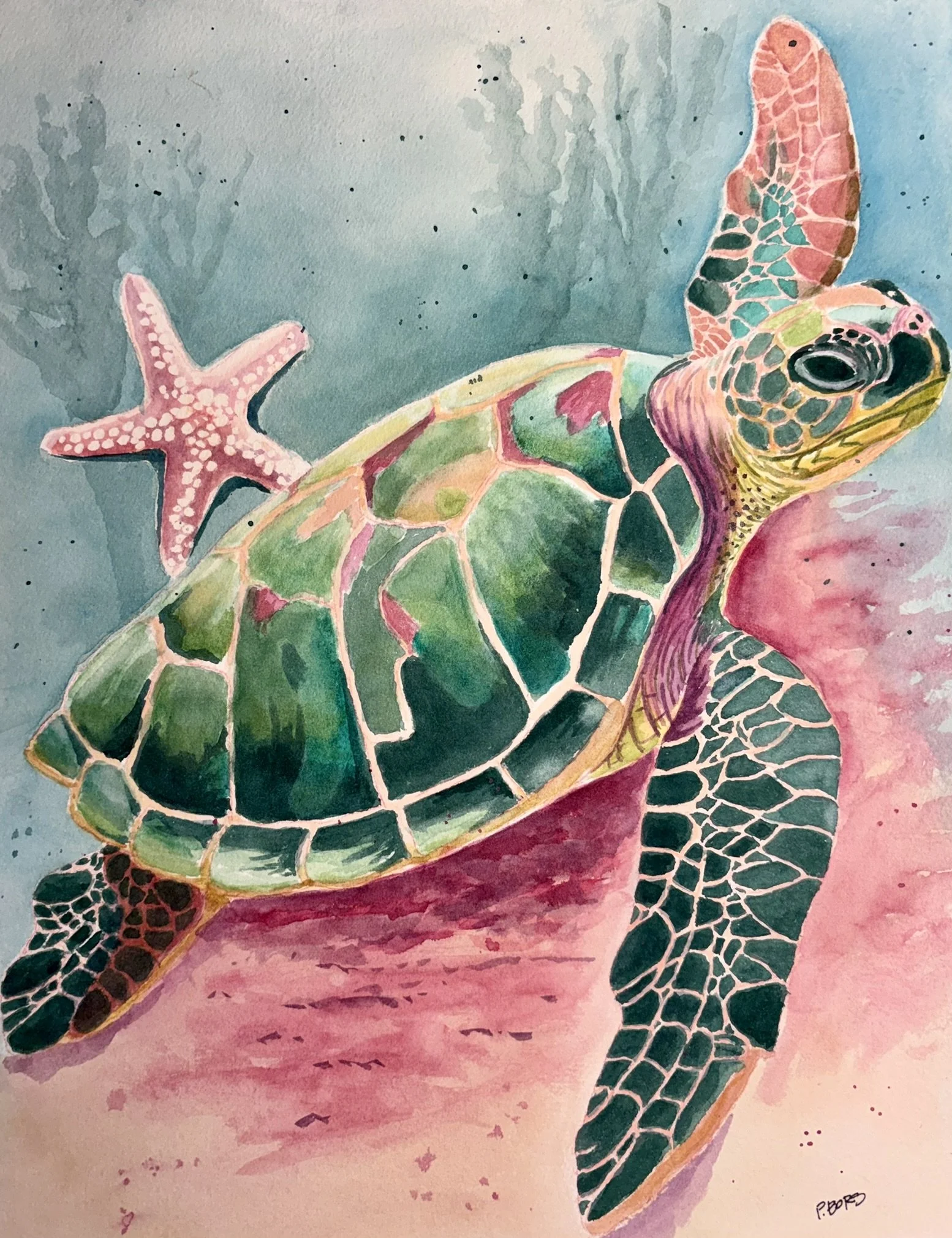 Sea Turtle -SOLD: watercolor 11 x 14 