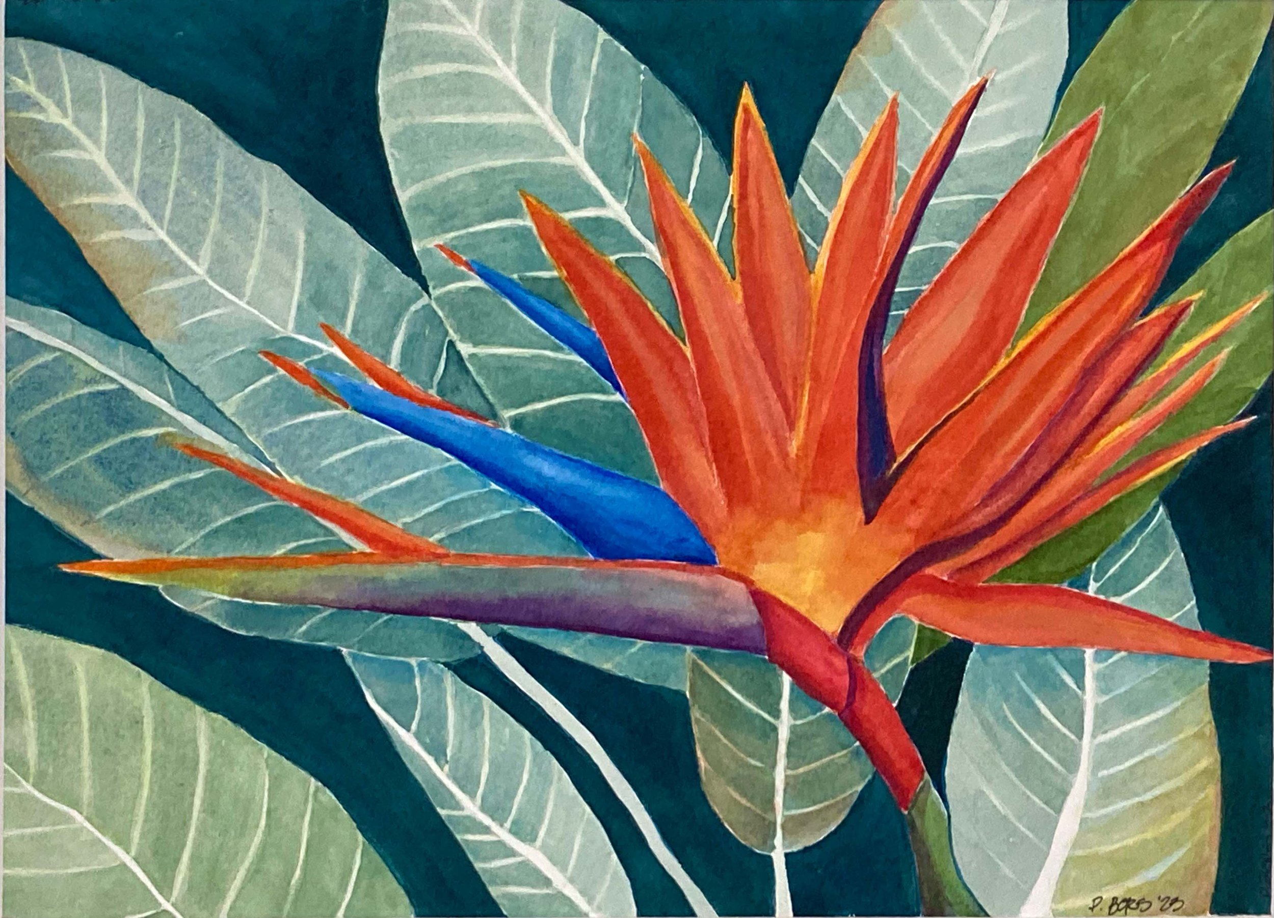 Proud Bird - $200 unframed; $275 framed; watercolor 11 x 14