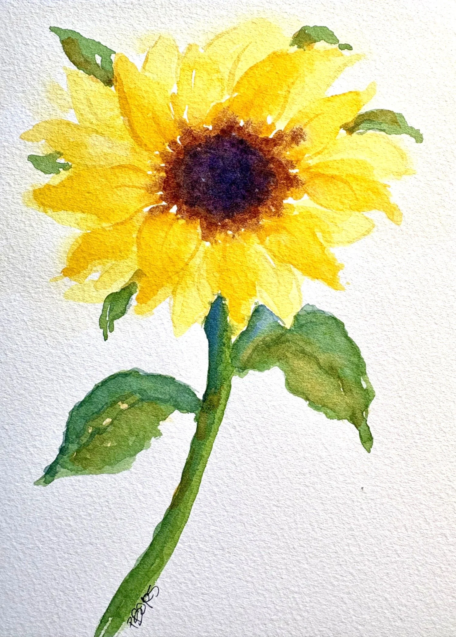 Sunflower - $35 unframed, 5 x 7 Watercolor; Available as Greeting Card upon request $5 each; 