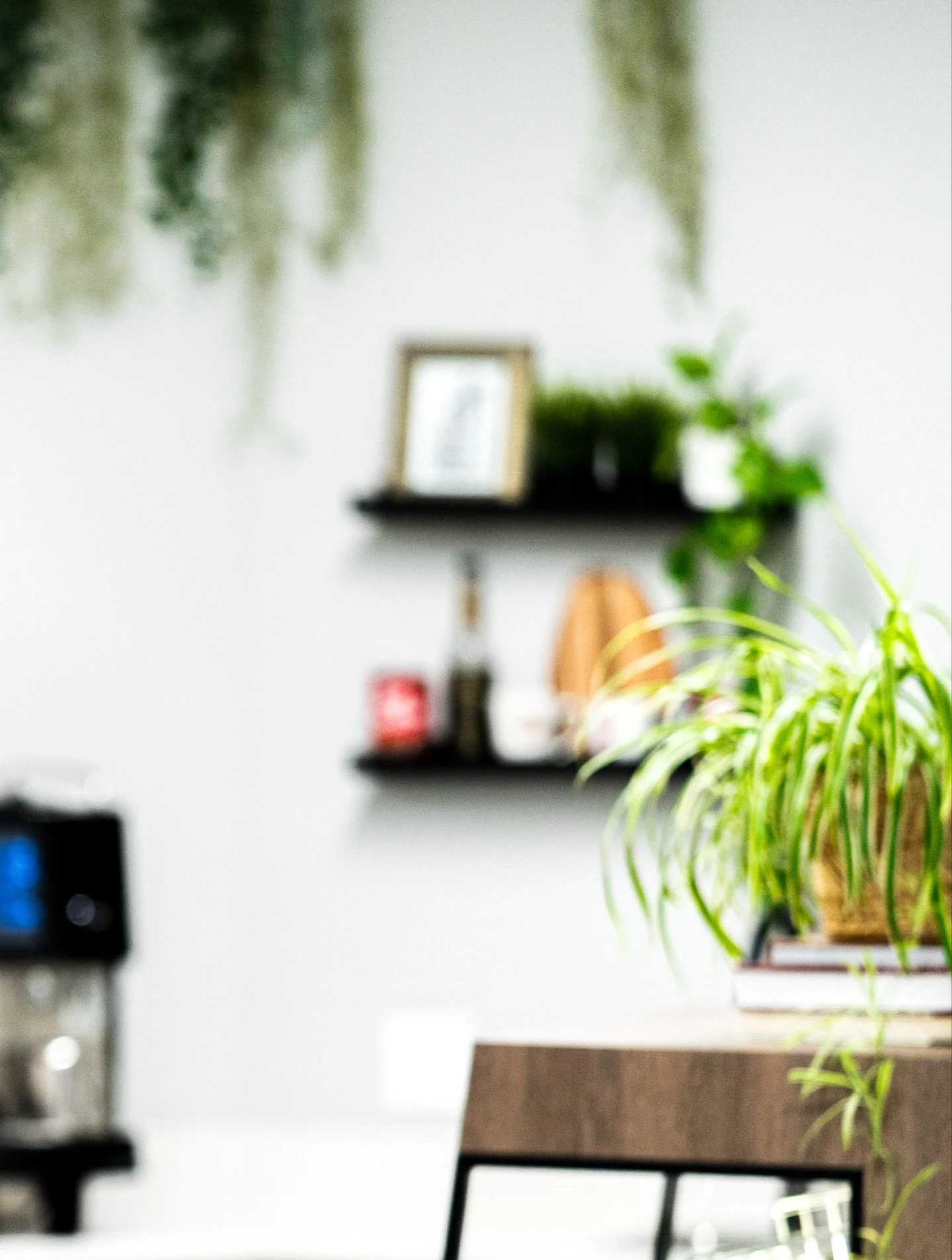 Green with envy 🌱
➖➖➖➖➖➖➖
Plants in the workplace are crucial; they improve air quality, boost productivity, and reduce stress. All key features in a healthy workplace. We love spider plants because they&rsquo;re so prolific but pothos, zz, and snak