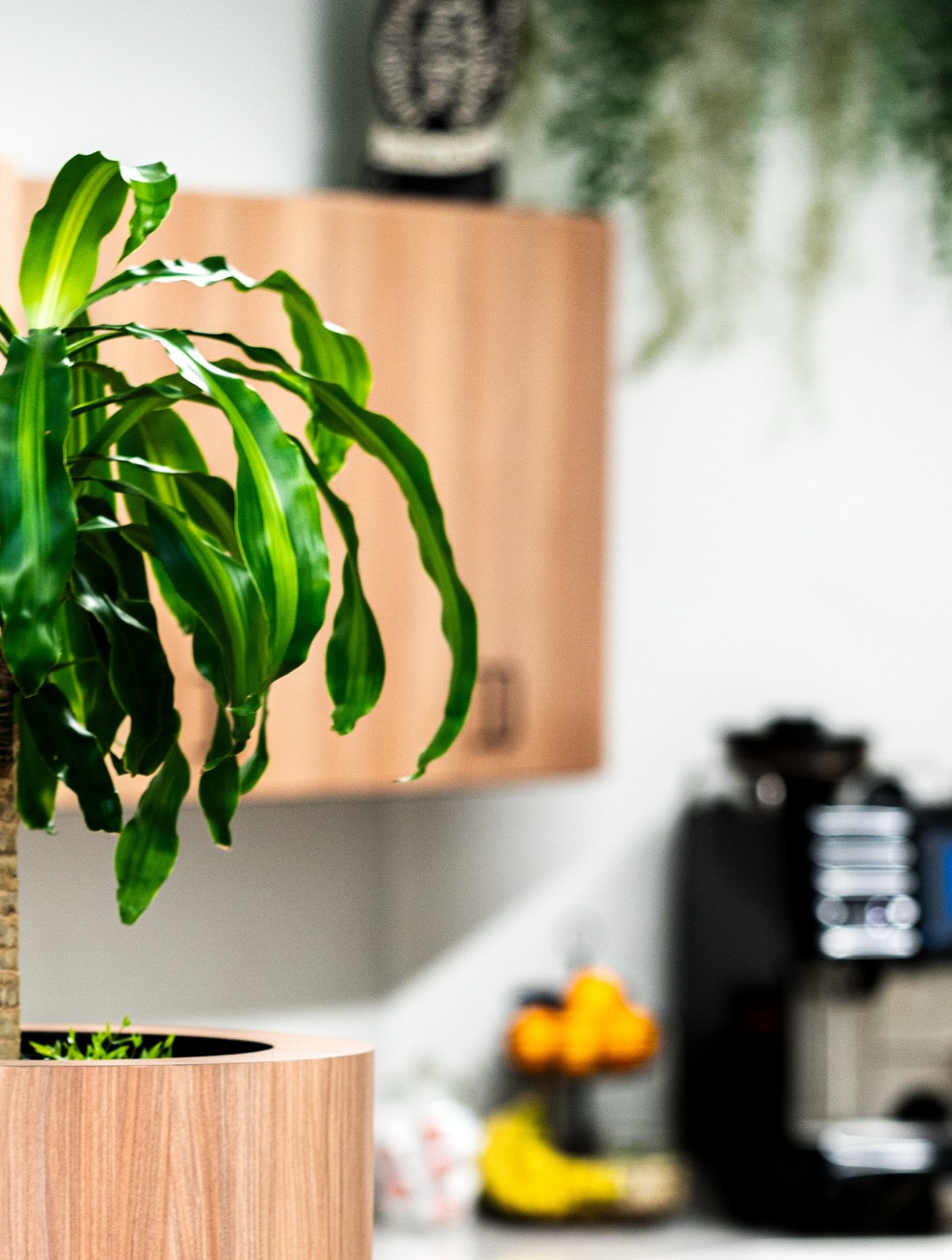 Midday moments 🍊
➖➖➖➖➖➖➖
This office kitchenette is perfect for a little afternoon pick me up with a custom pub table featuring outlets on every side and a central planter for dramatic foliage. The espresso machine is just the cherry on top ☕️
➖➖➖➖➖