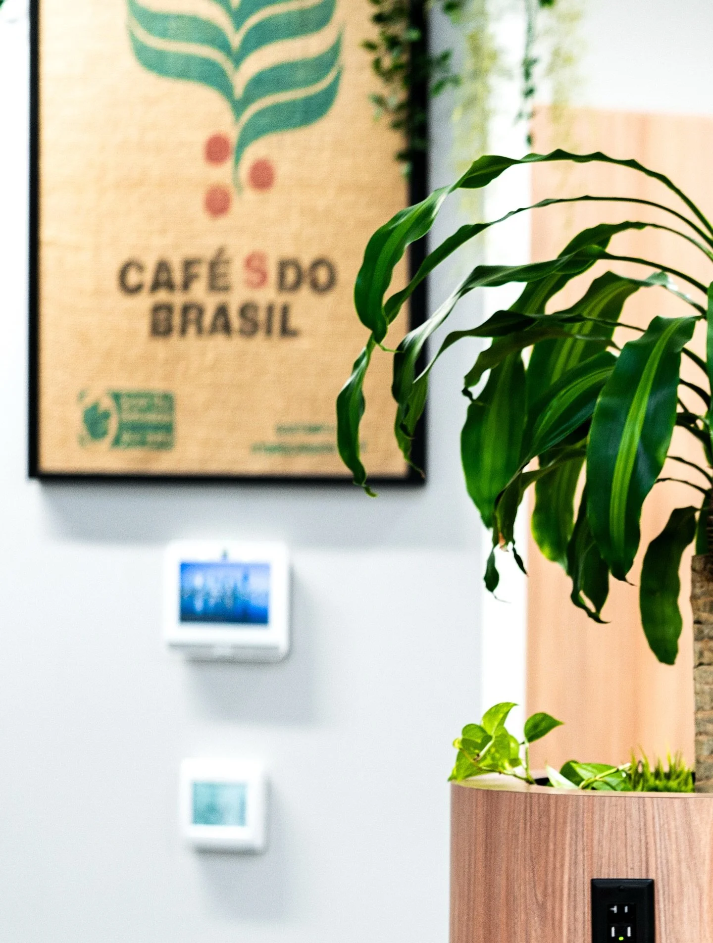 Coffee with a view 🌴
➖➖➖➖➖➖➖
Every transient workplace needs a resting spot; like a watering hole but make it modern. This custom designed table allows for quick coffee fueled emails, easy chats about the weekend, and best yet, a respite with a view