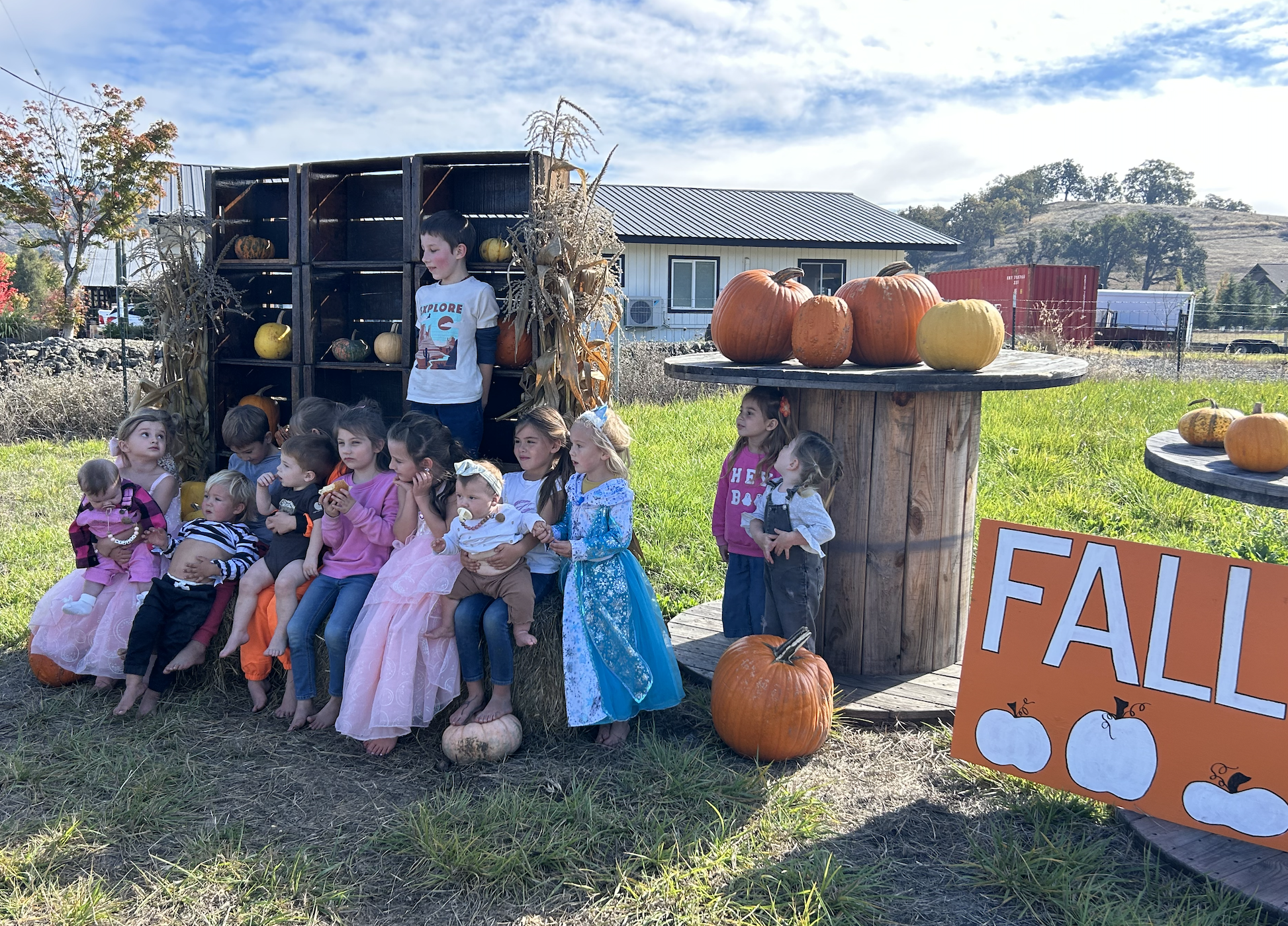 Harvest Party