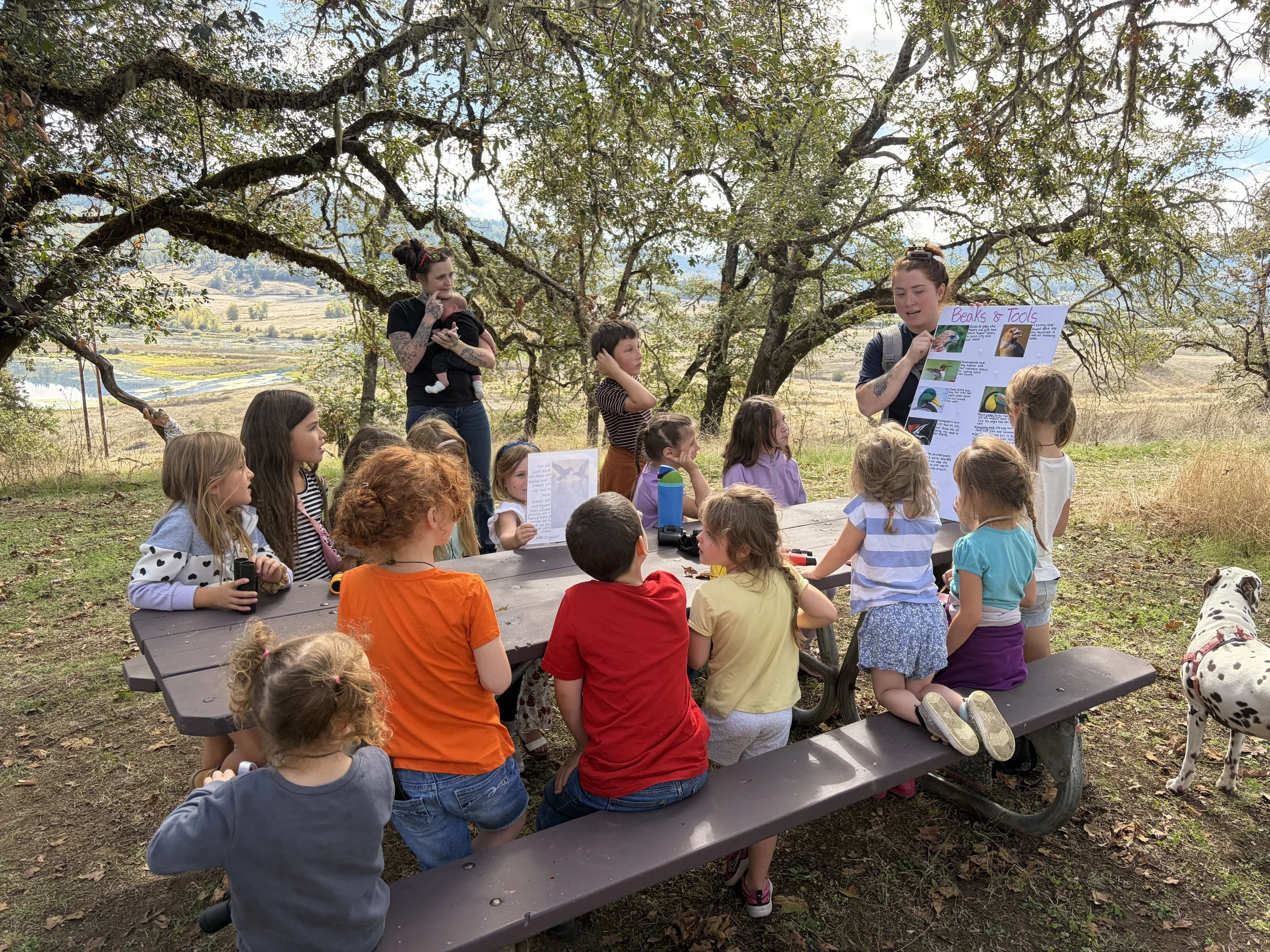 Girl's Nature Club