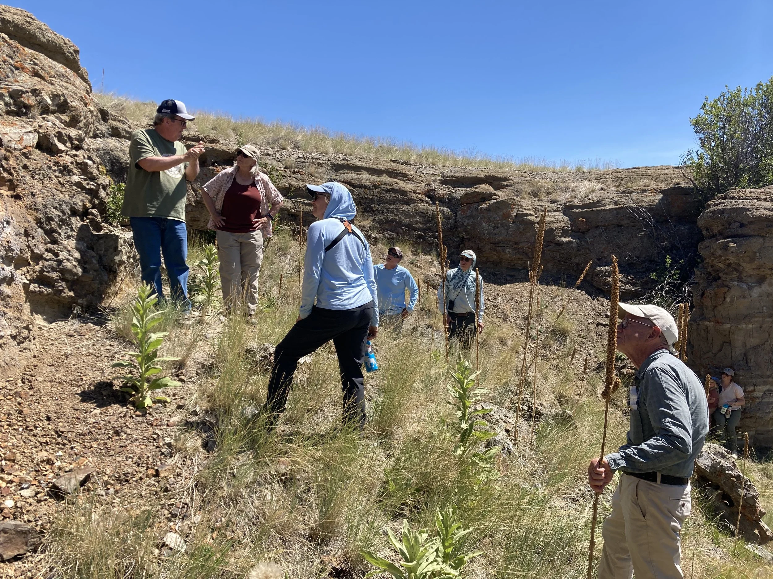 Tippet Rise Geo-Paleo Tours