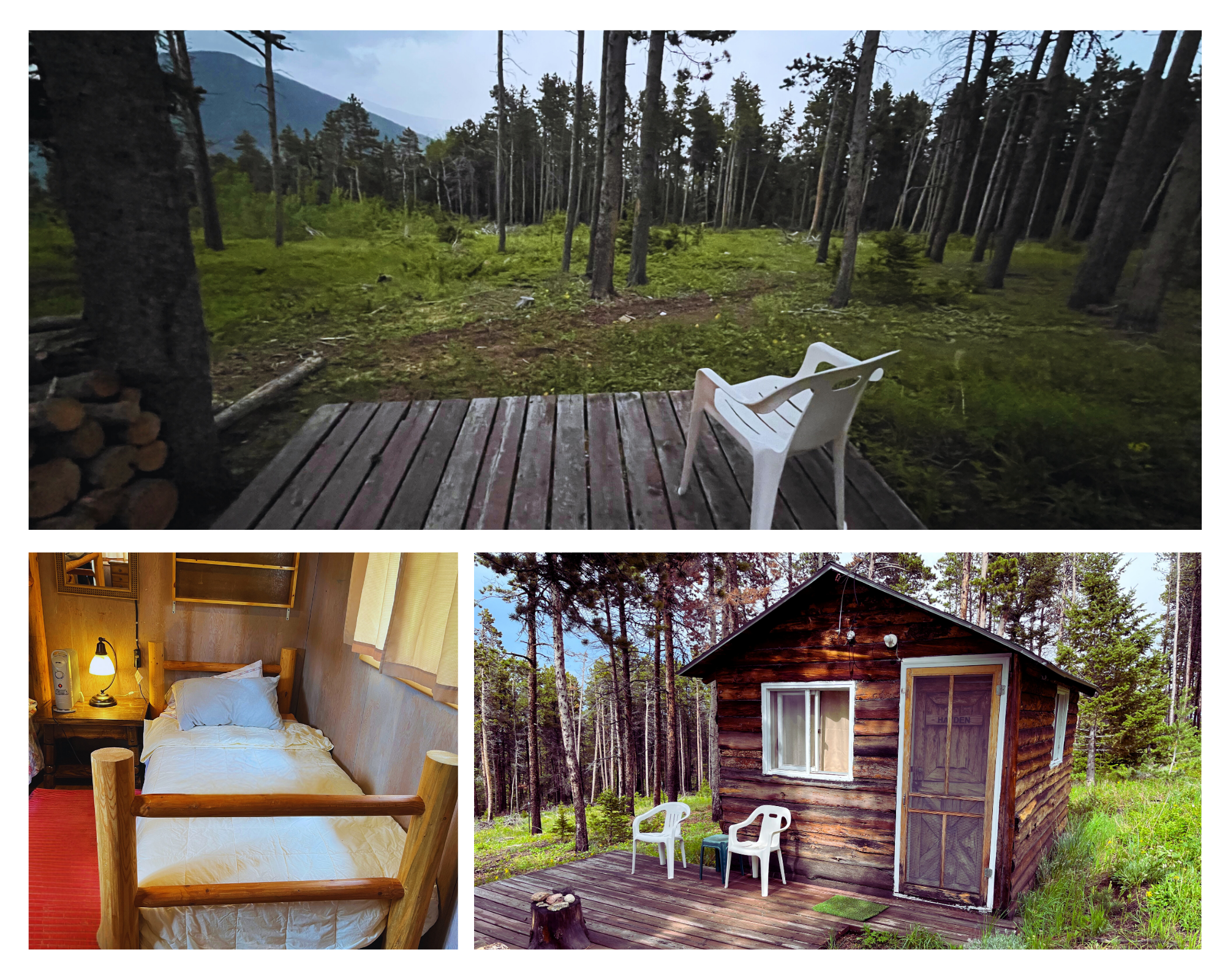 Hayden. A bunk bed & twin bed. Framed by lodgepoles east of the Fanshawe Lodge. 
Named for Ferdinand V. Hayden (1829-1887), a pioneering geologist known for his survey expeditions of the Rocky Mountains as geologist-in-charge of the United States Ge