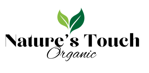 A stylized logo with green leaves and the text 'EcoClean' in black.