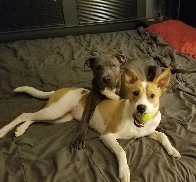 Max & Molly