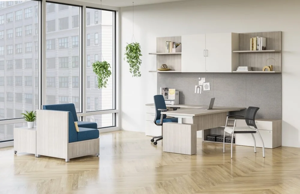 Modern office with large windows, two green hanging plants, a sitting area with two blue armchairs and a small white table, a desk with two chairs, and built-in shelves with various books and decor.
