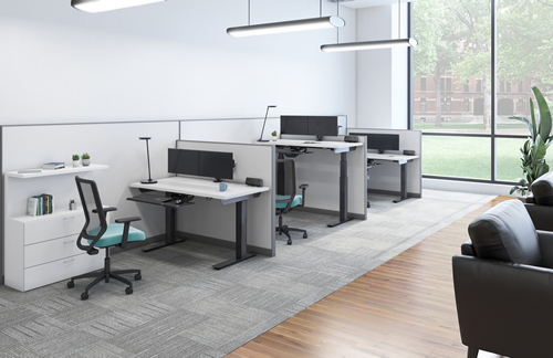 Modern office with three workstations, black chairs, white desks, and a large window showing outdoor trees.