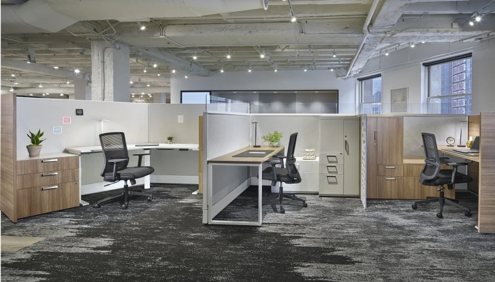 Modern open office with three workstations separated by partition walls, black office chairs, and wooden cabinets, with large windows and industrial ceiling.
