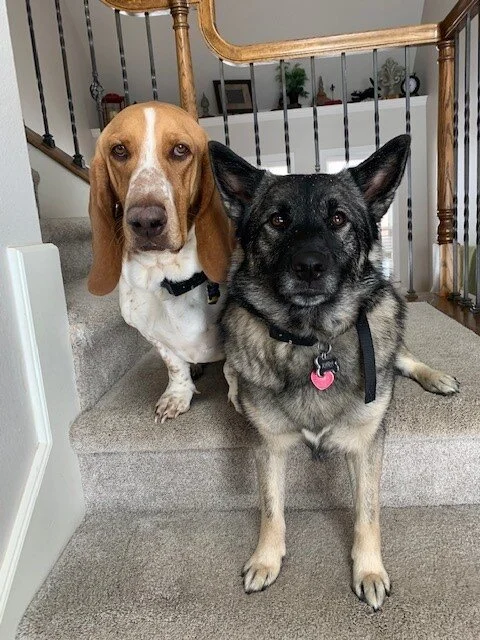 Murphy & Xara