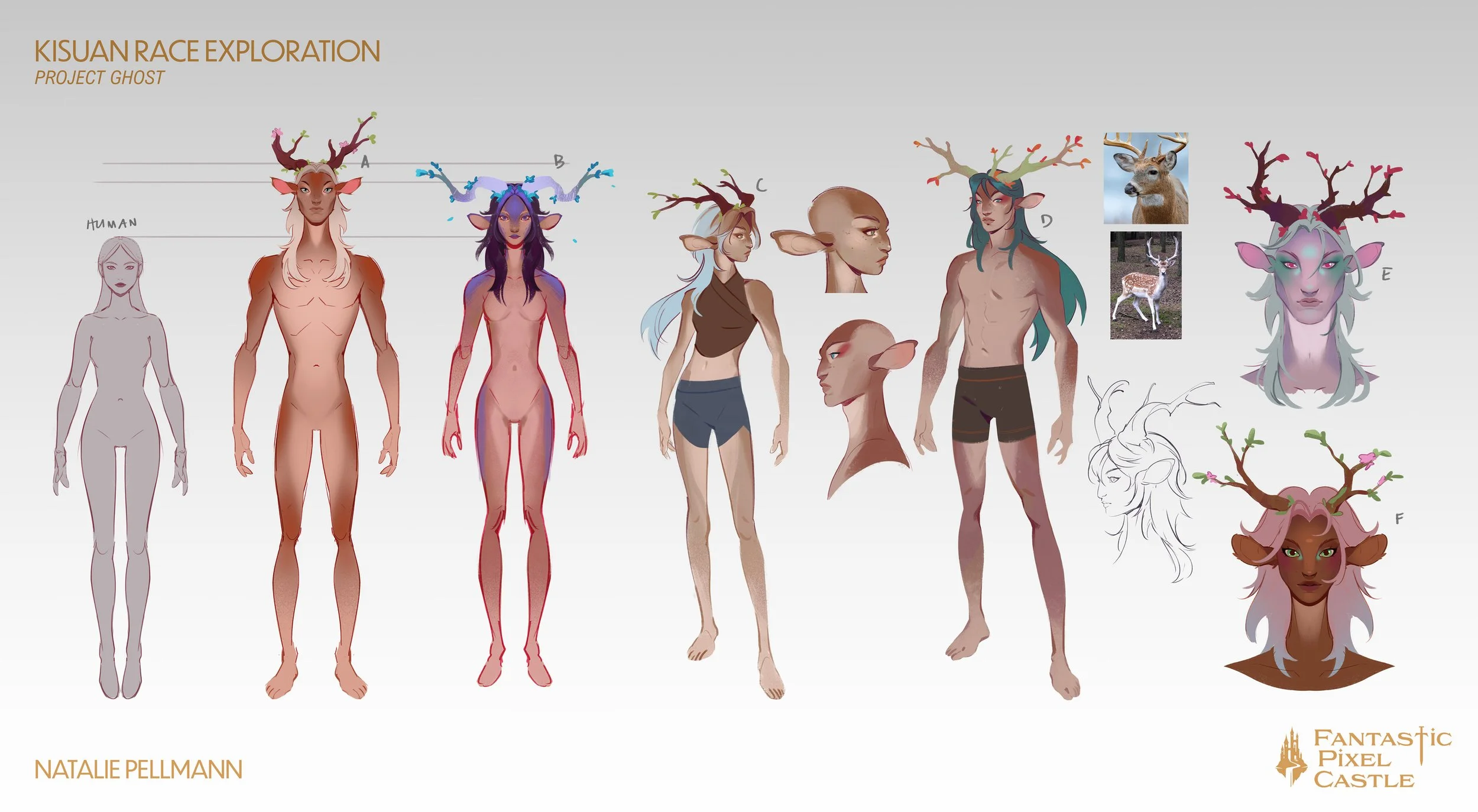 FPC_kisuan concepts 01.jpg