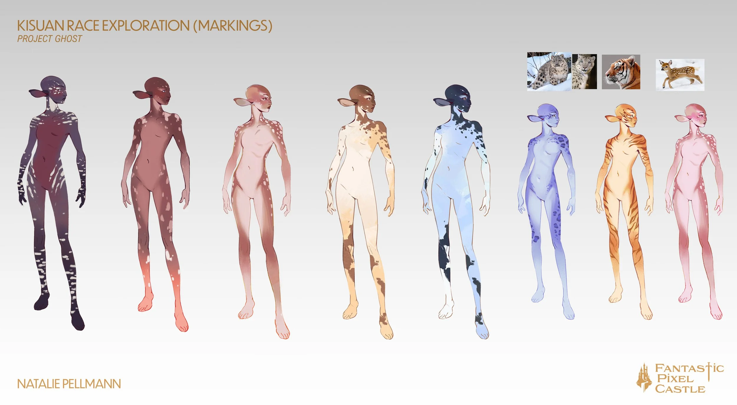 FPC_kisuan concepts 04.jpg