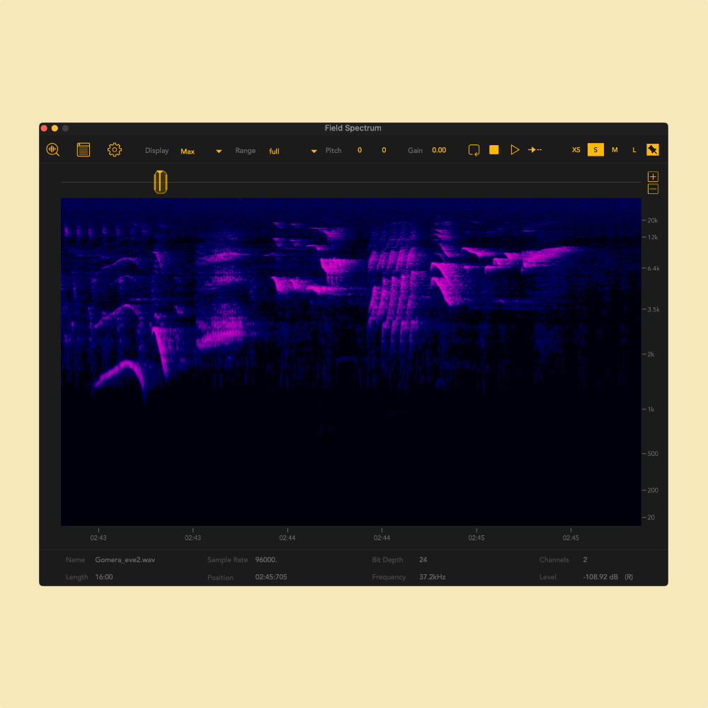 An image of a ‘field spectrum’ spectrogram showing the frequency content of a bird call