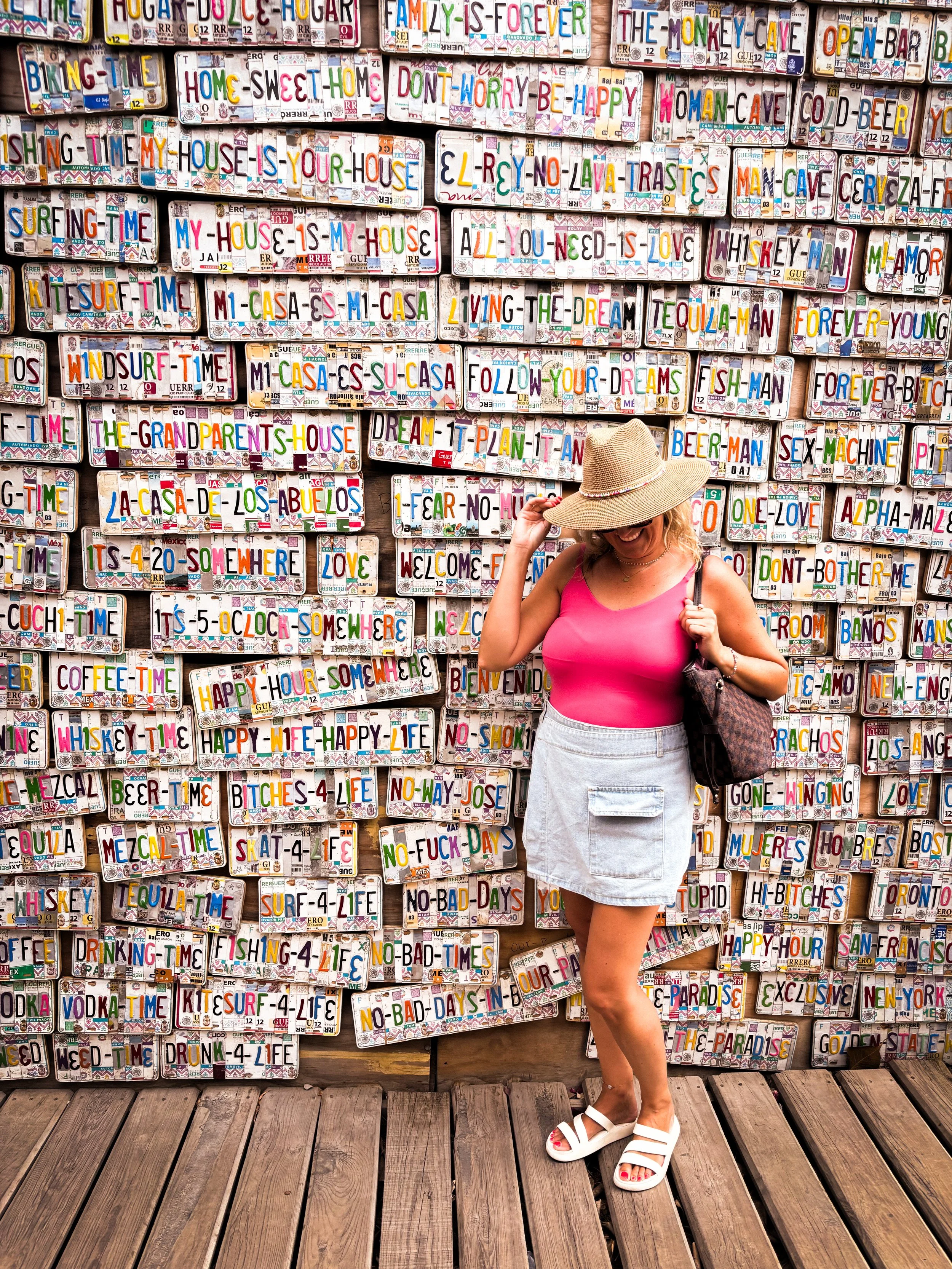Todos Santos Licenses .JPG