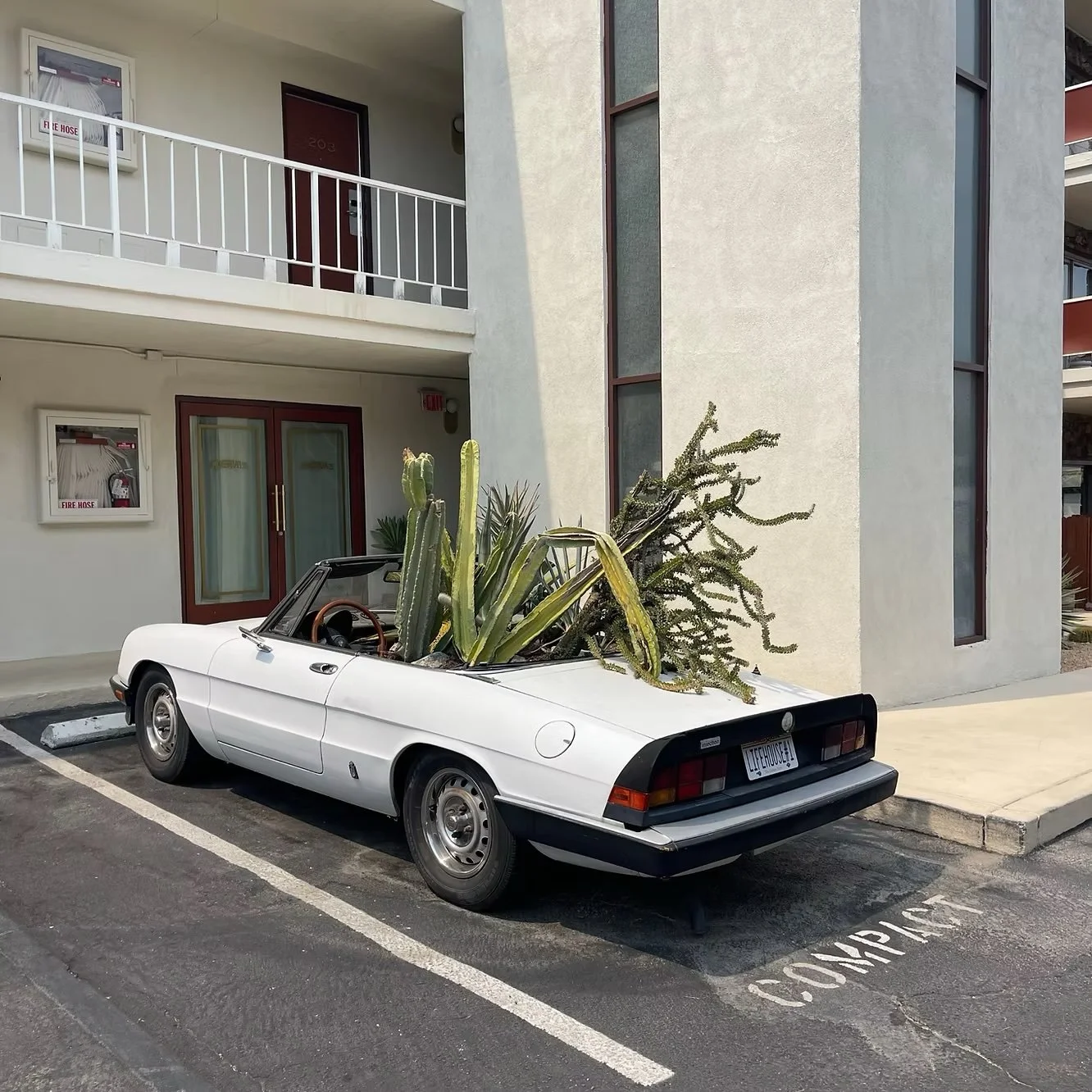 What's #Trending this November