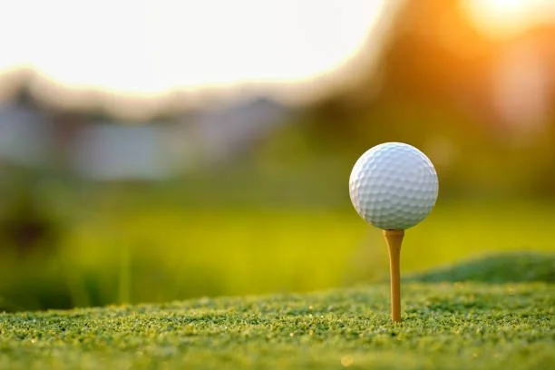 Golf Tee Photo.jpg