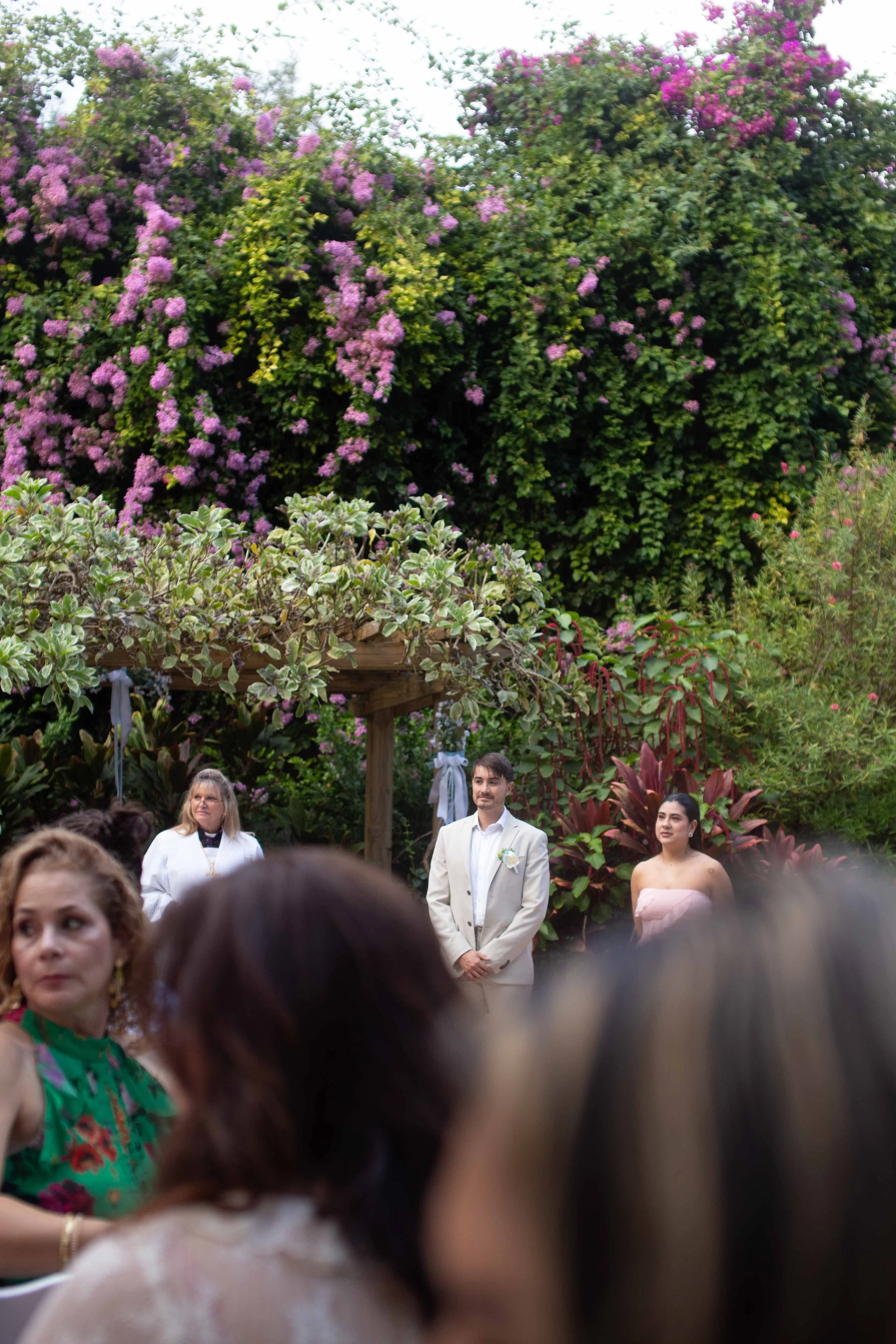 A wedding ceremony outdoors with guests and a groom standing under a wooden arbor, surrounded by lush greenery and flowering bushes.