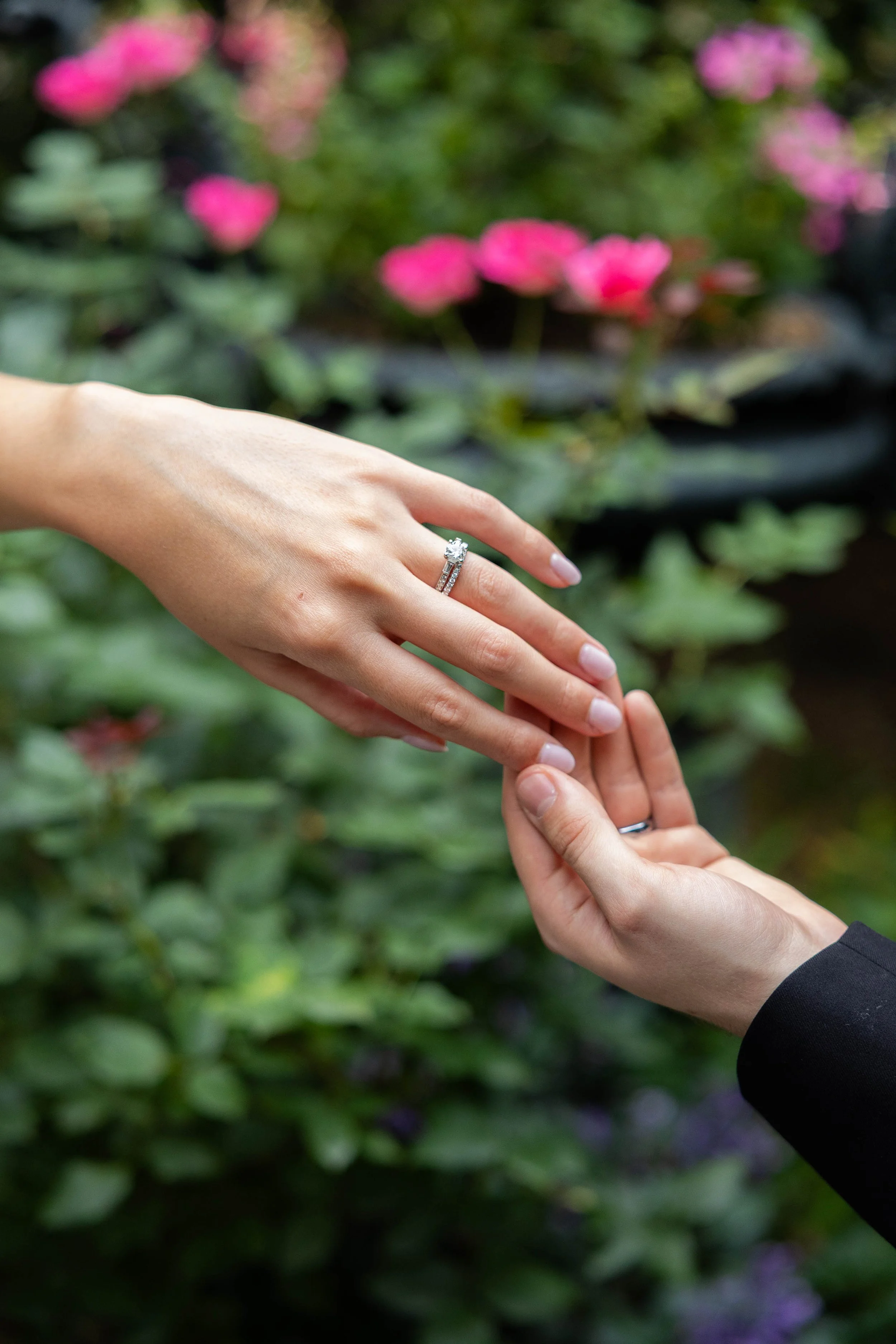 st.luke'sgarden-84.jpg
