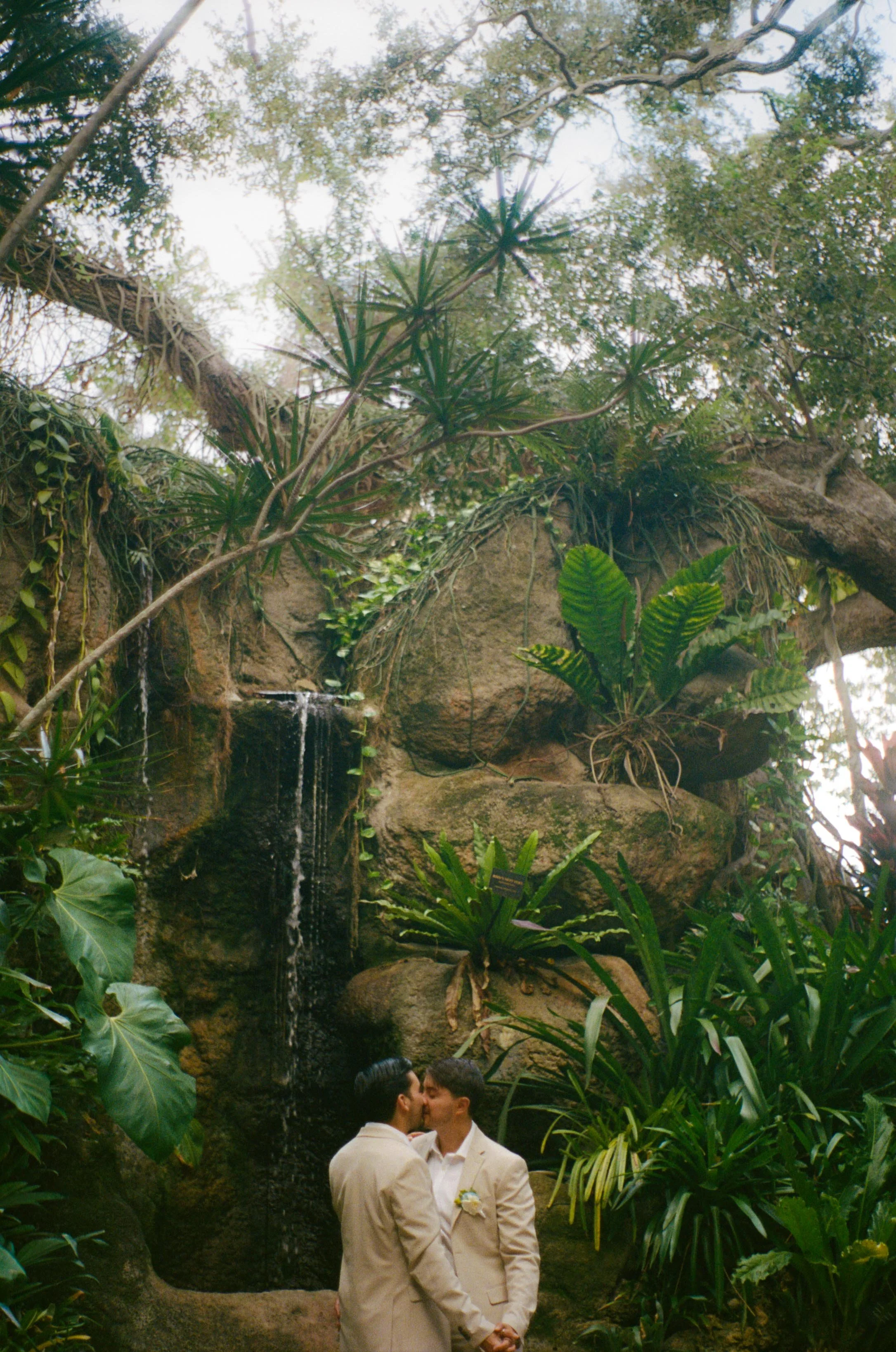 Two men in beige suits sharing a kiss in front of a lush tropical waterfall and greenery.