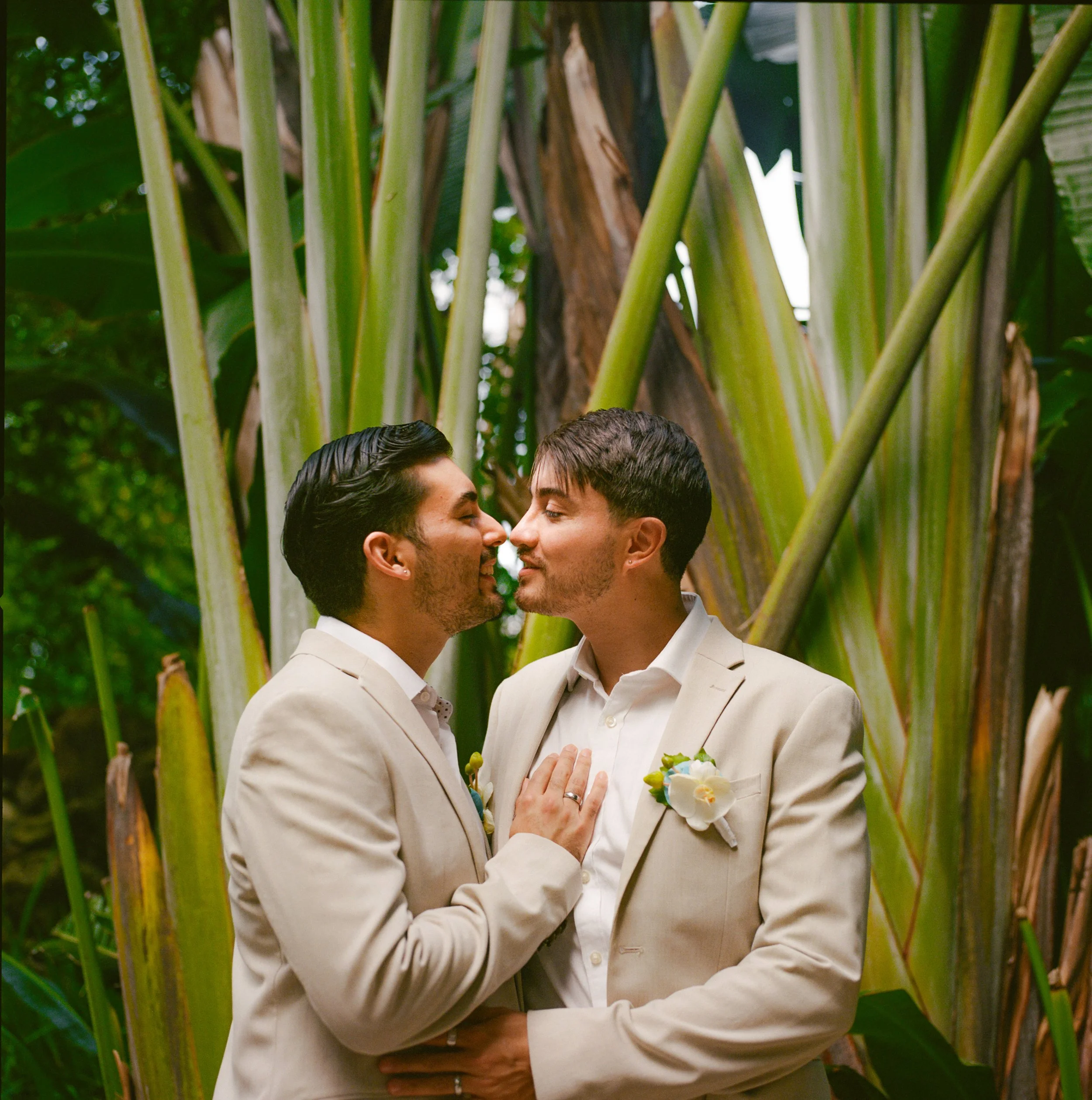 intimate-florida-gay-wedding-film-portraits.jpg